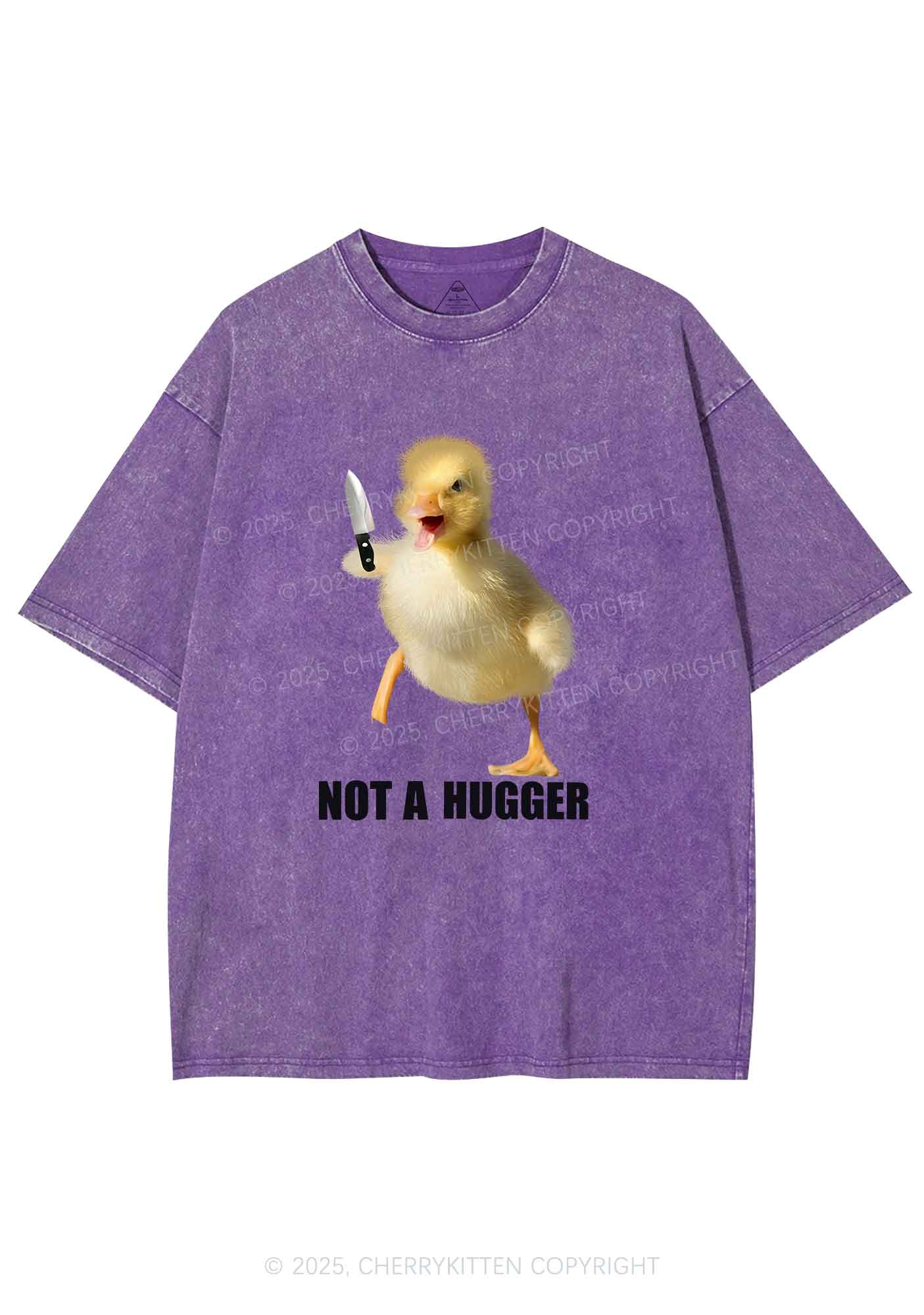 Not A Hugger Y2K Washed Tee Cherrykitten