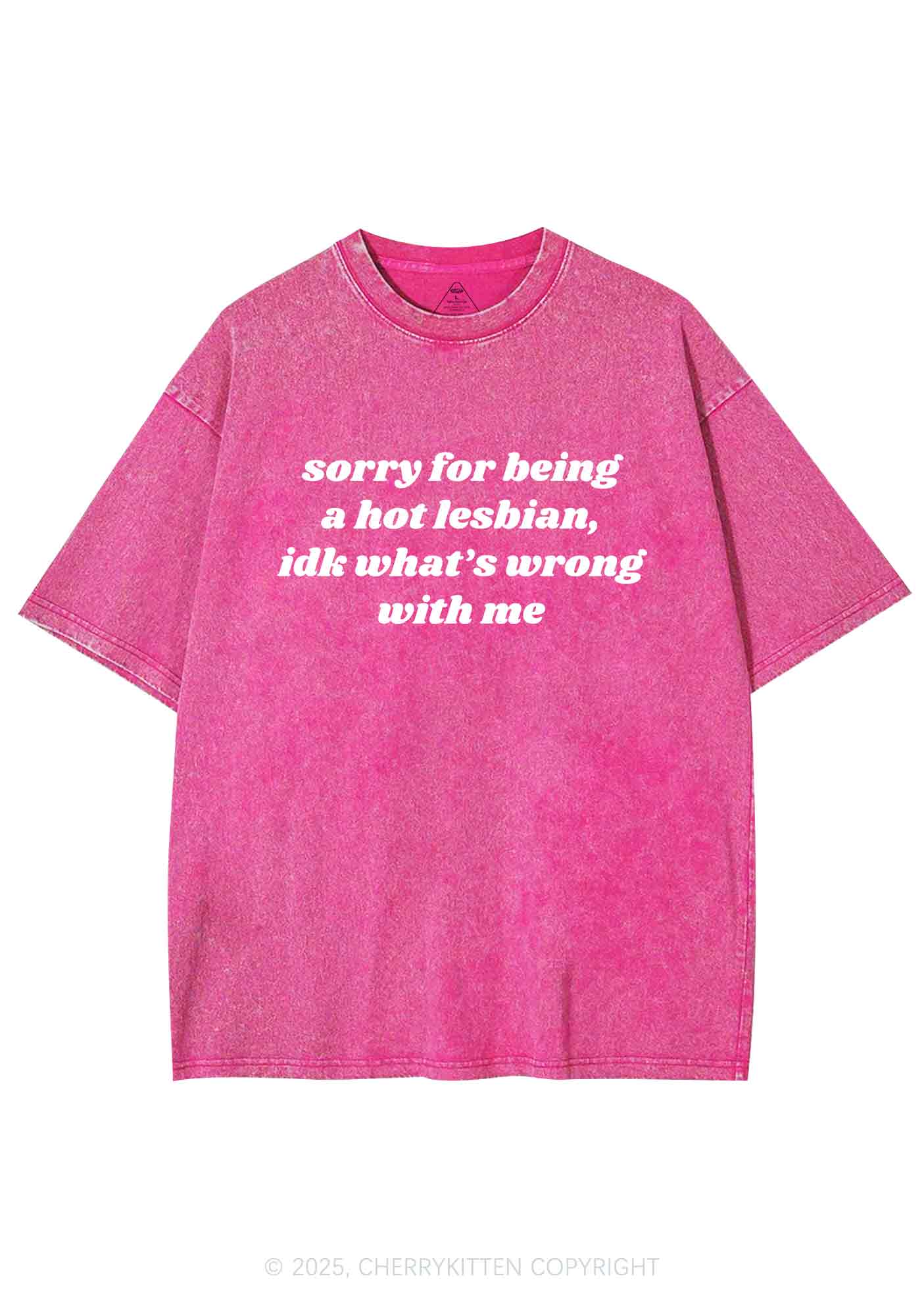 Sorry For Being Hot Lesbian Y2K Washed Tee Cherrykitten