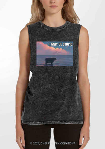 I May Be Stupid Meme Y2K Washed Tank Cherrykitten