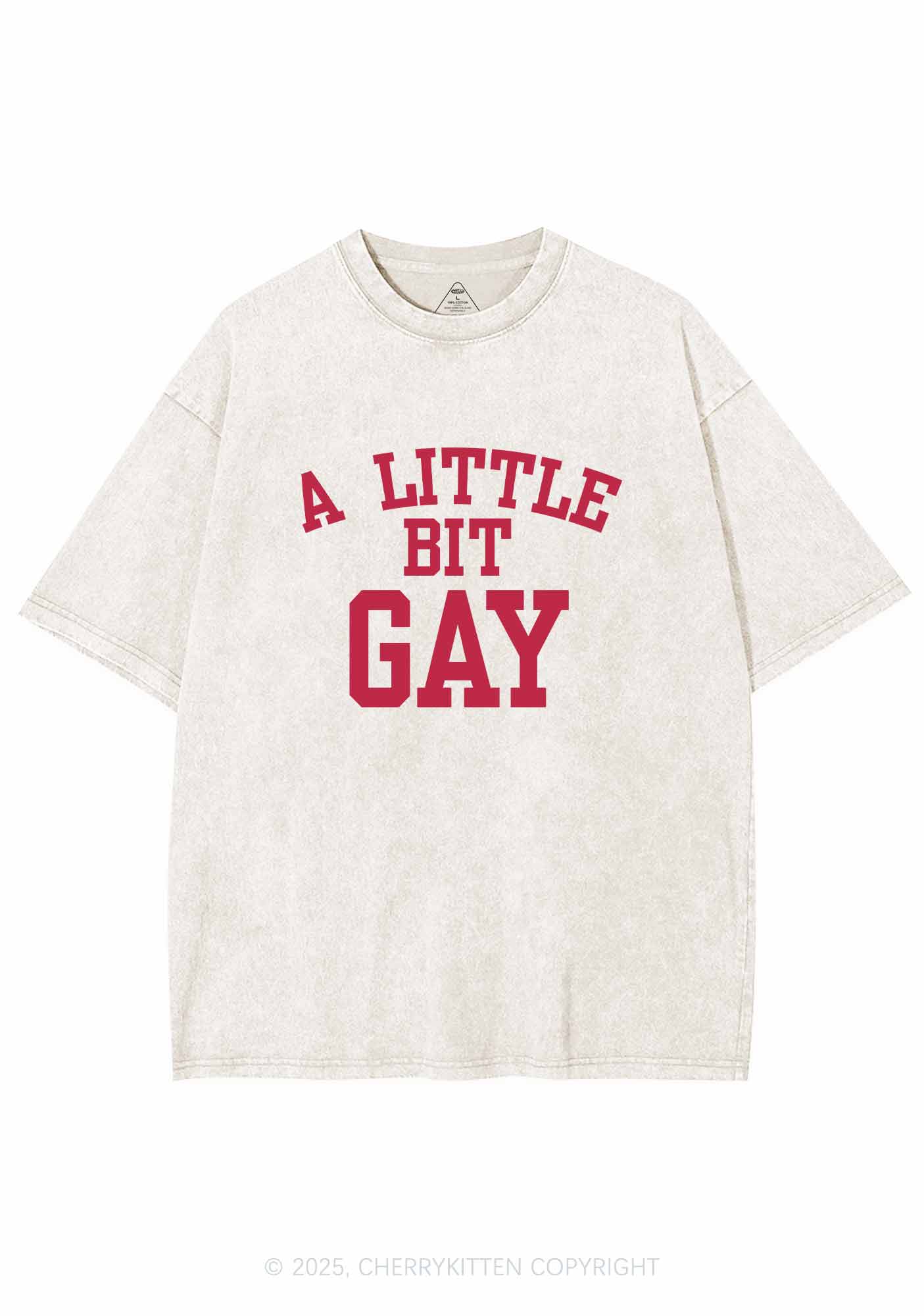 A Little Bit Gay Y2K Washed Tee Cherrykitten