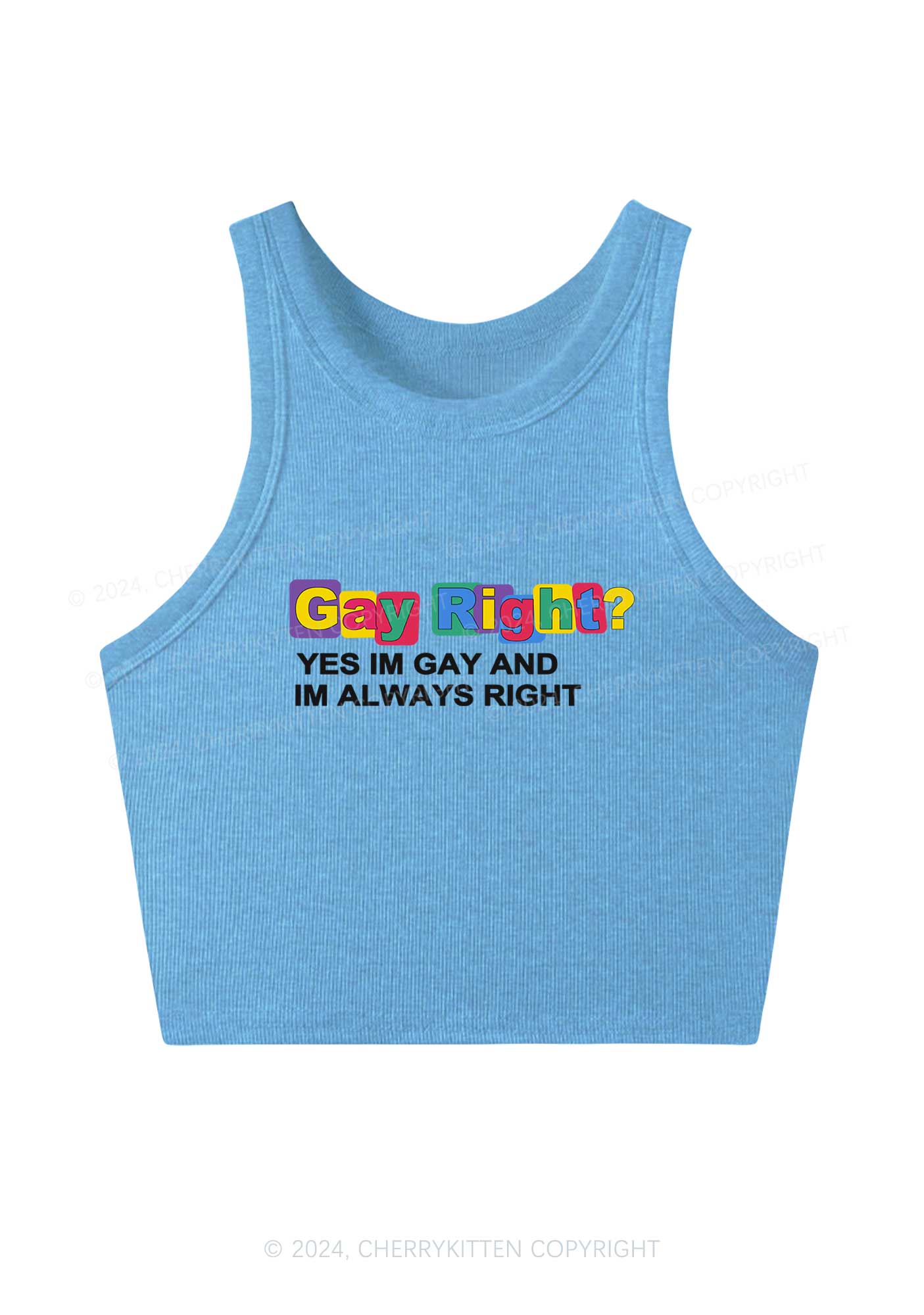 Gay Always Right Y2K Crop Tank Top Cherrykitten