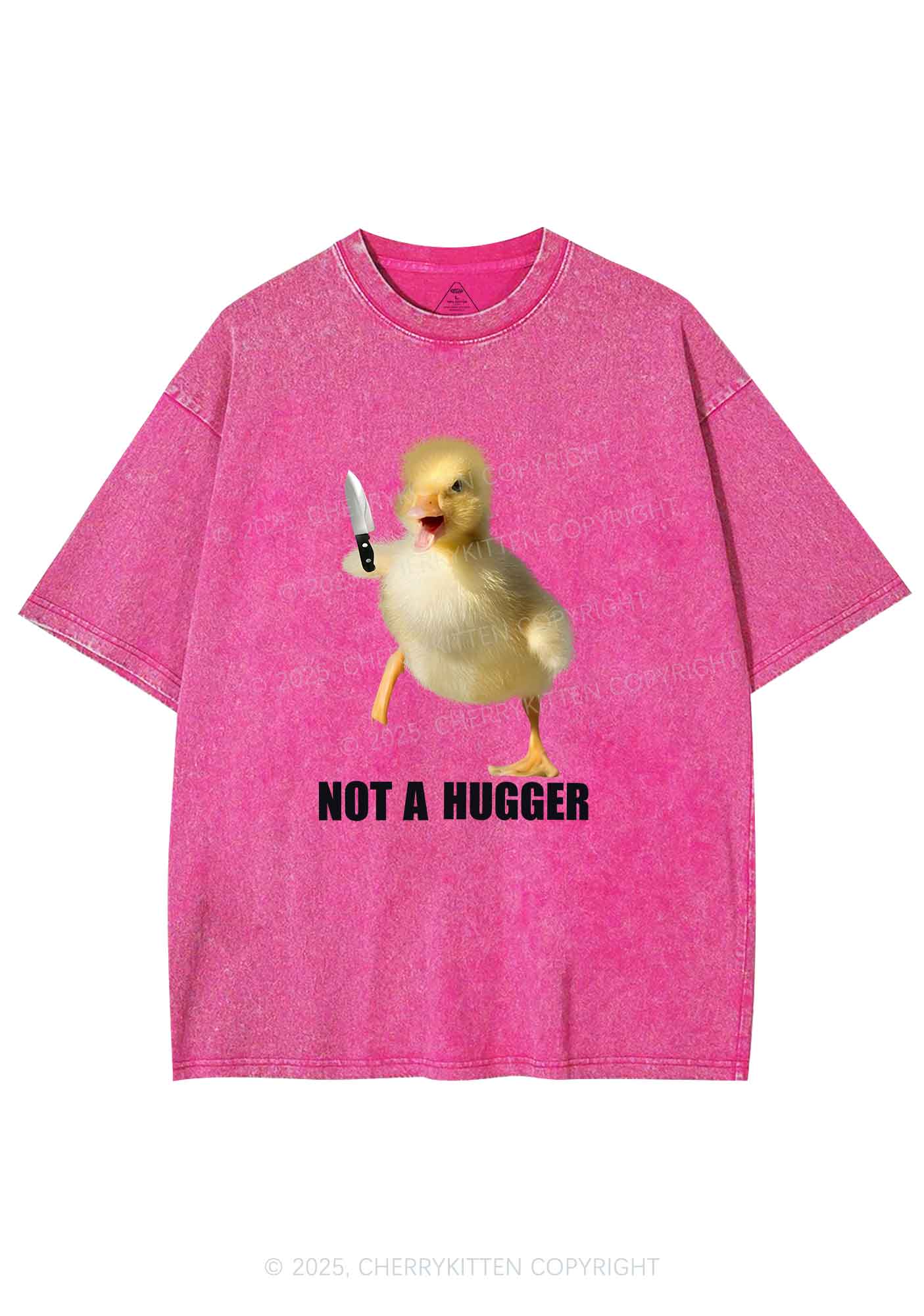 Not A Hugger Y2K Washed Tee Cherrykitten