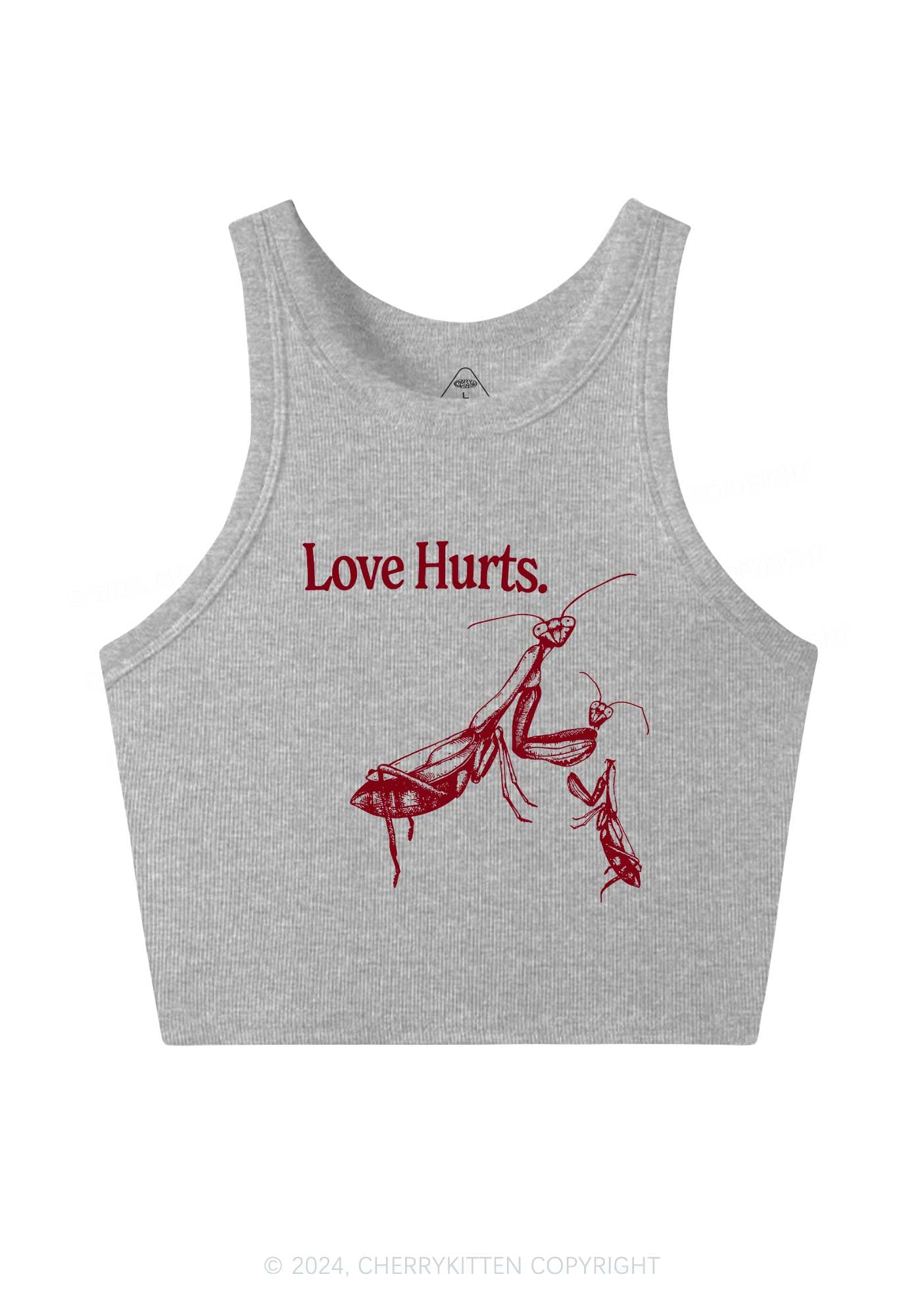 Love Hurts Y2K Valentine's Day Crop Tank Top Cherrykitten