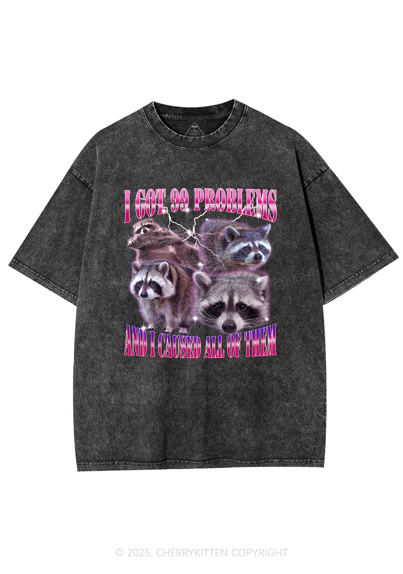 Raccoon Got Problems Y2K Washed Tee Cherrykitten