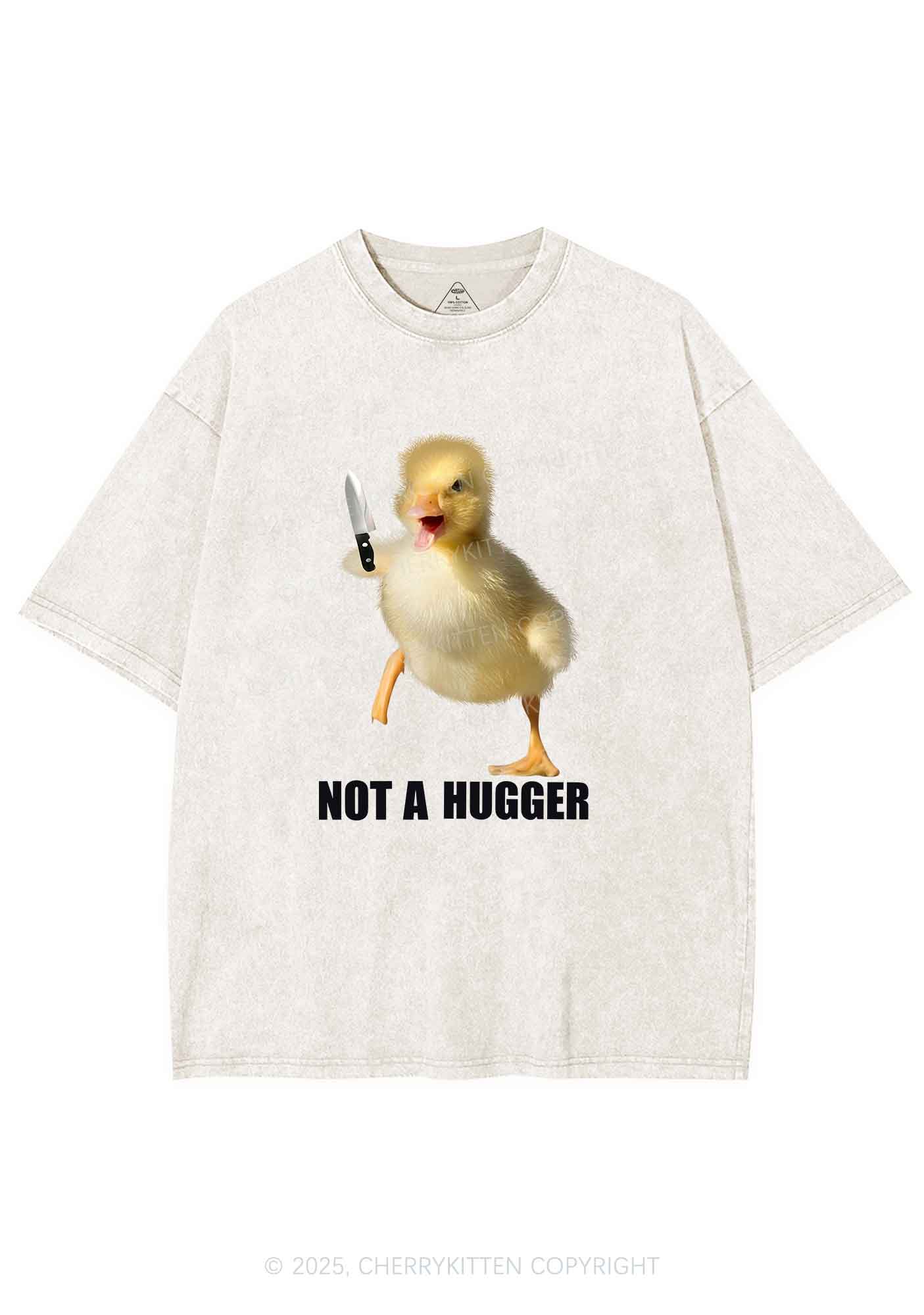 Not A Hugger Y2K Washed Tee Cherrykitten