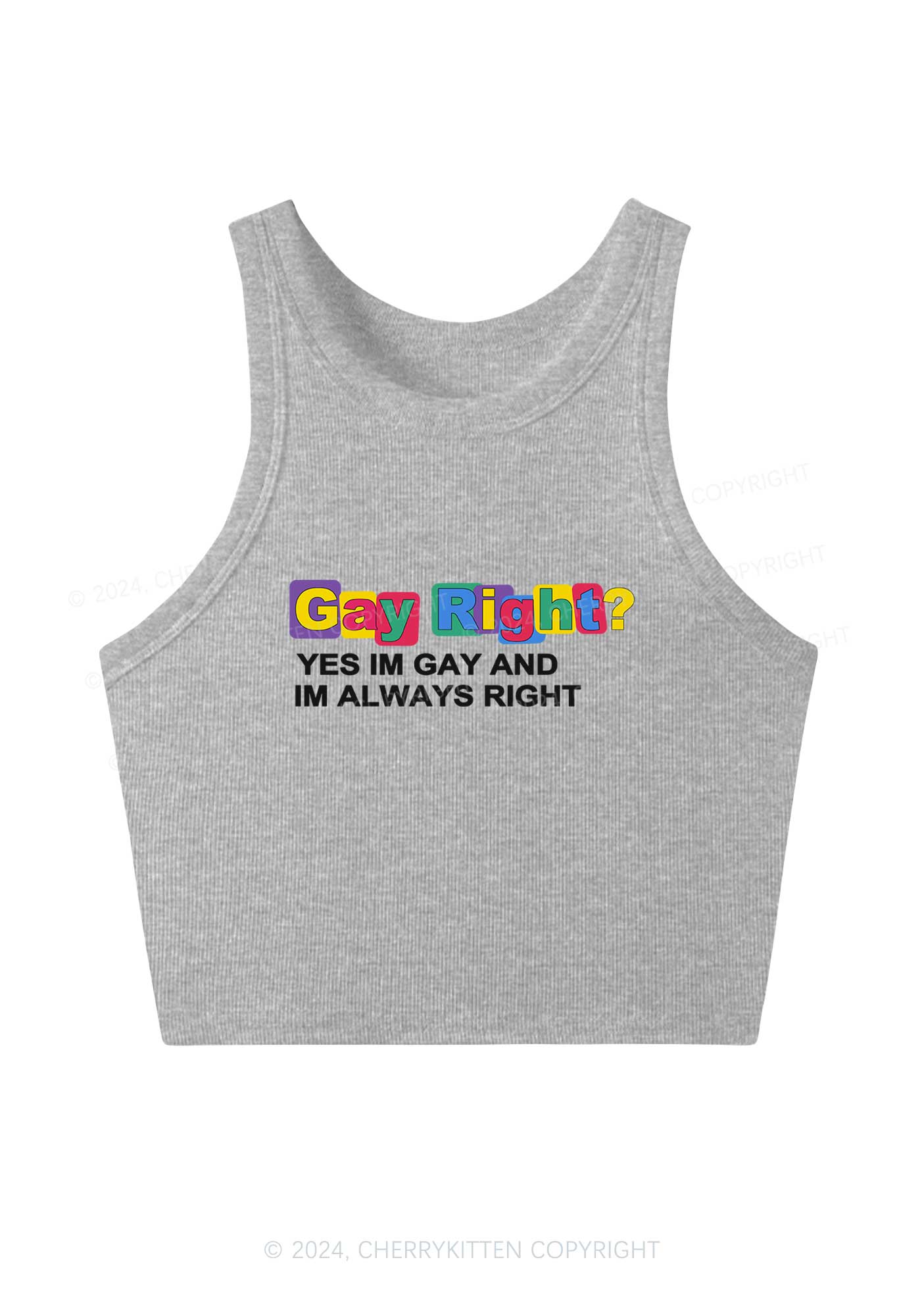 Gay Always Right Y2K Crop Tank Top Cherrykitten