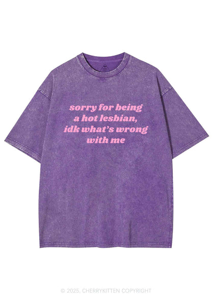 Sorry For Being Hot Lesbian Y2K Washed Tee Cherrykitten