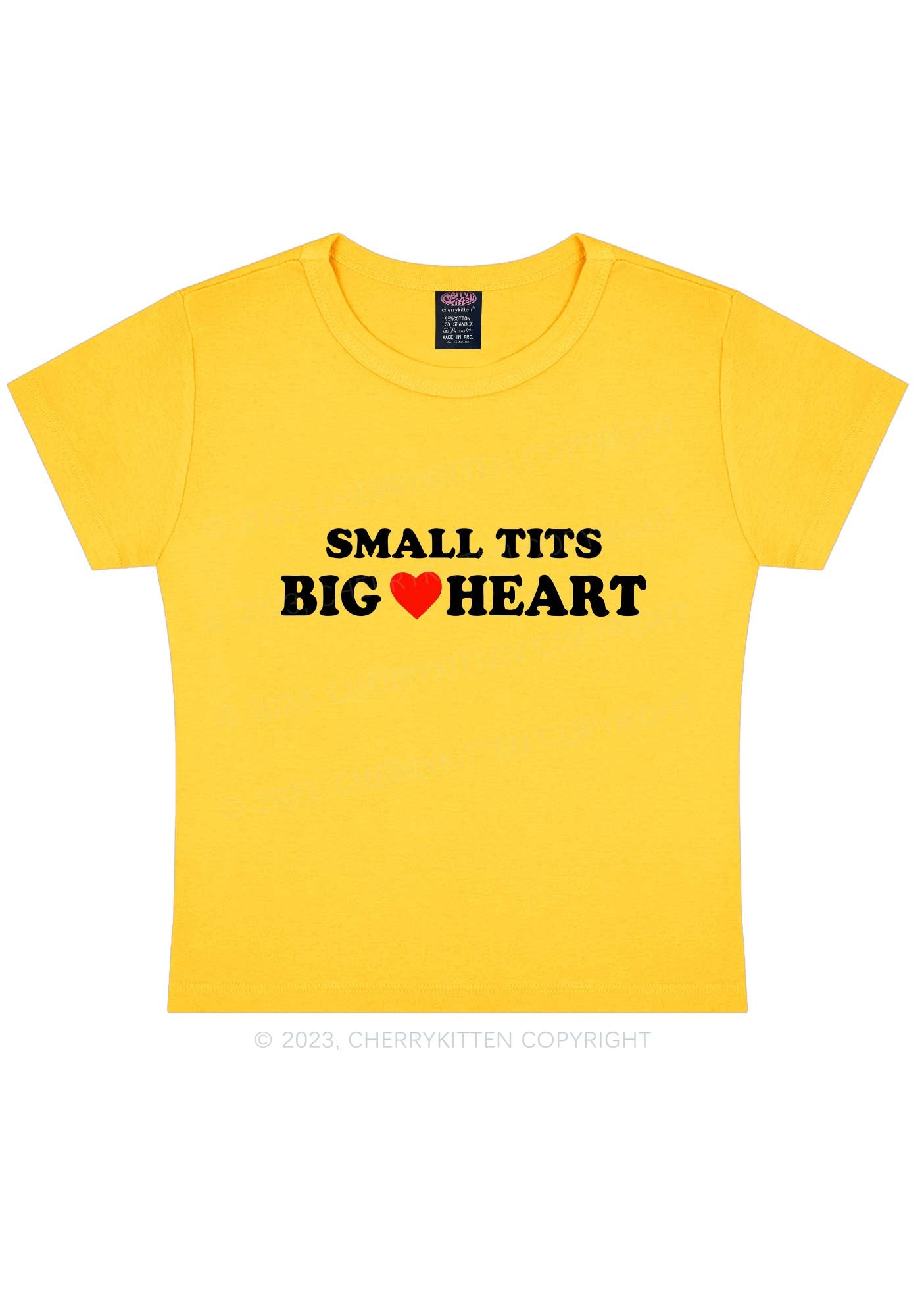 Flat Chest Big Heart Slogan Baby Tee Y2k Cropped Graphic T Shirt 2000s Era  Mall Goth Style Top -  Canada