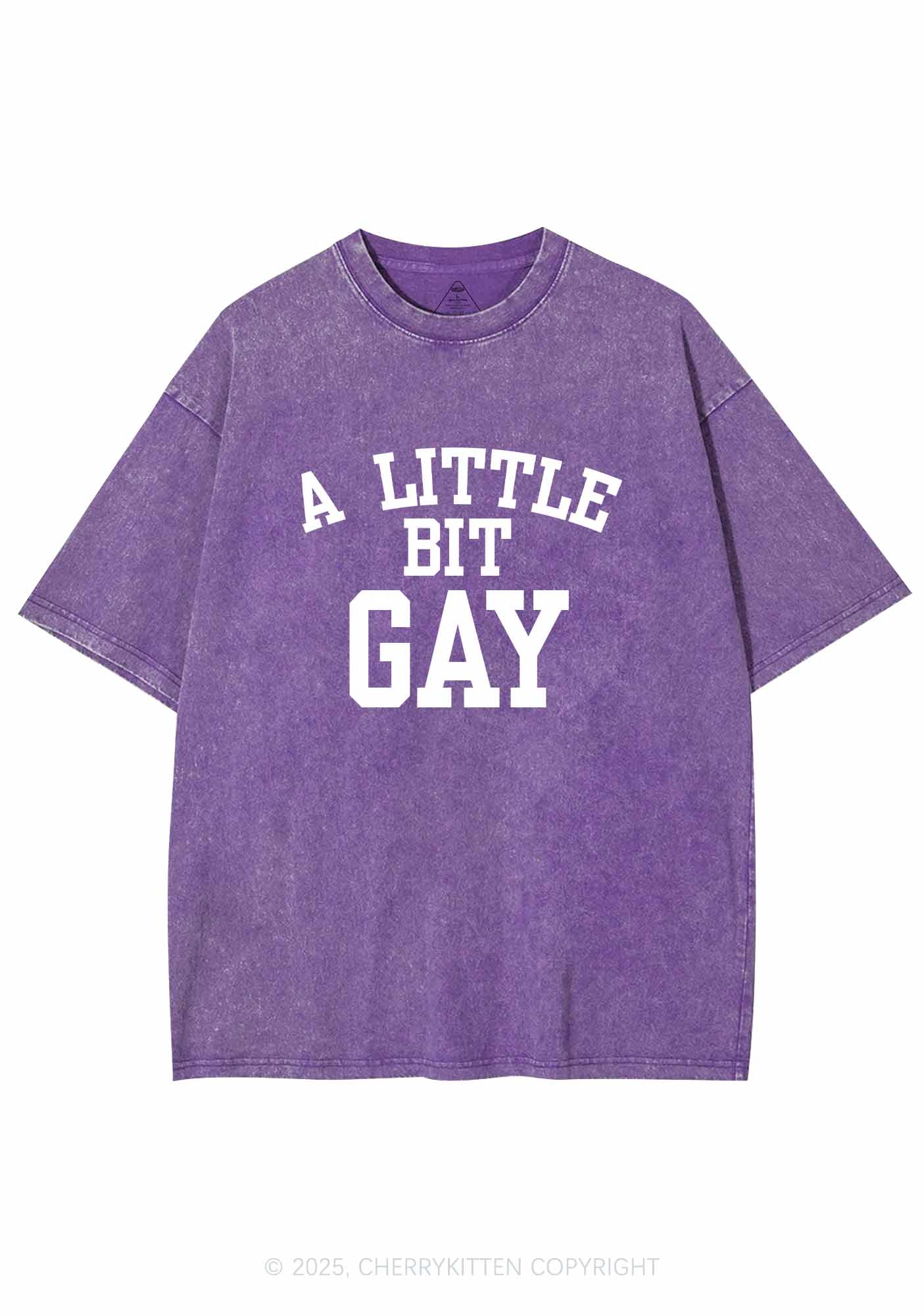 A Little Bit Gay Y2K Washed Tee Cherrykitten