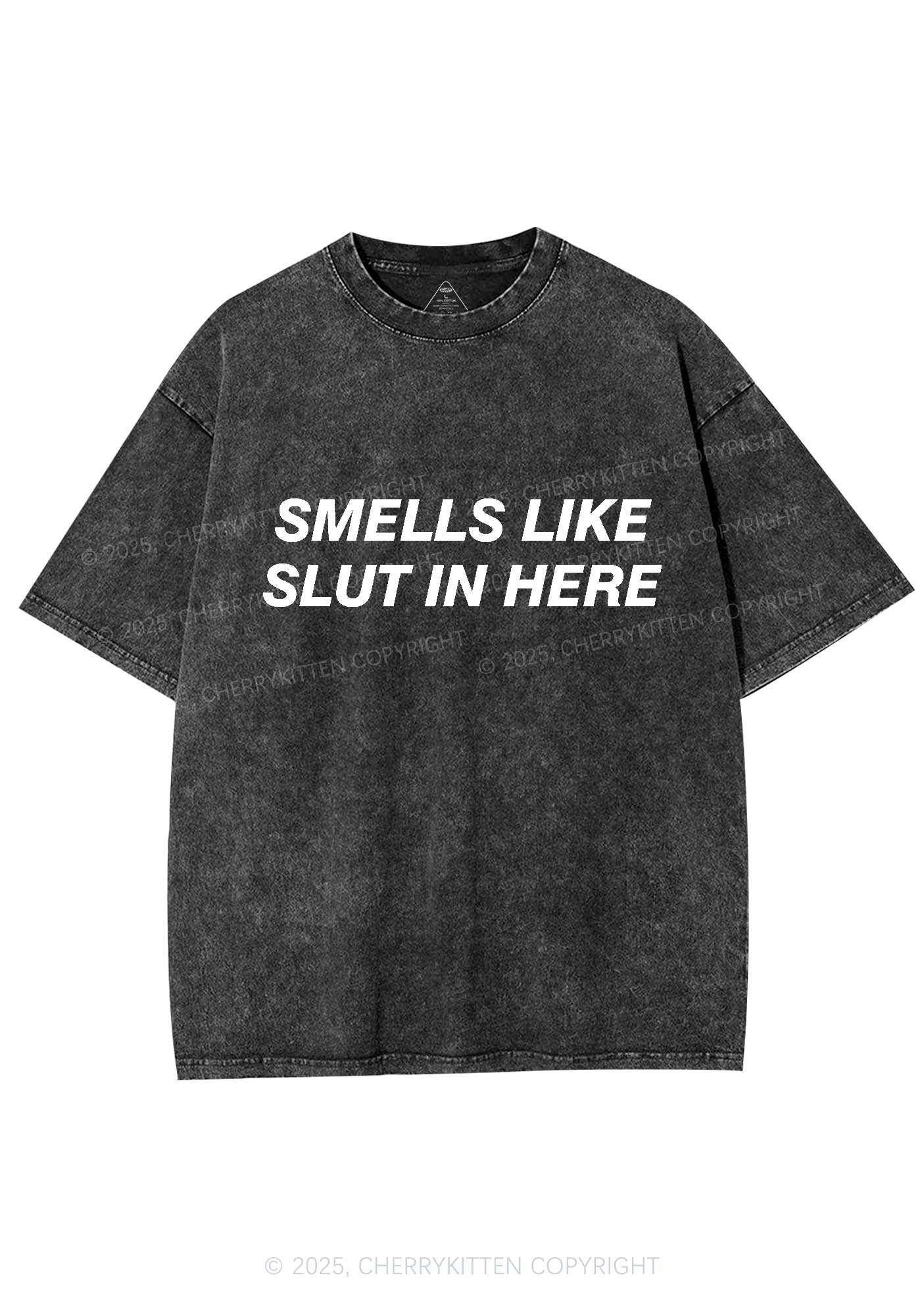 Smells Like Slxt Y2K Washed Tee Cherrykitten