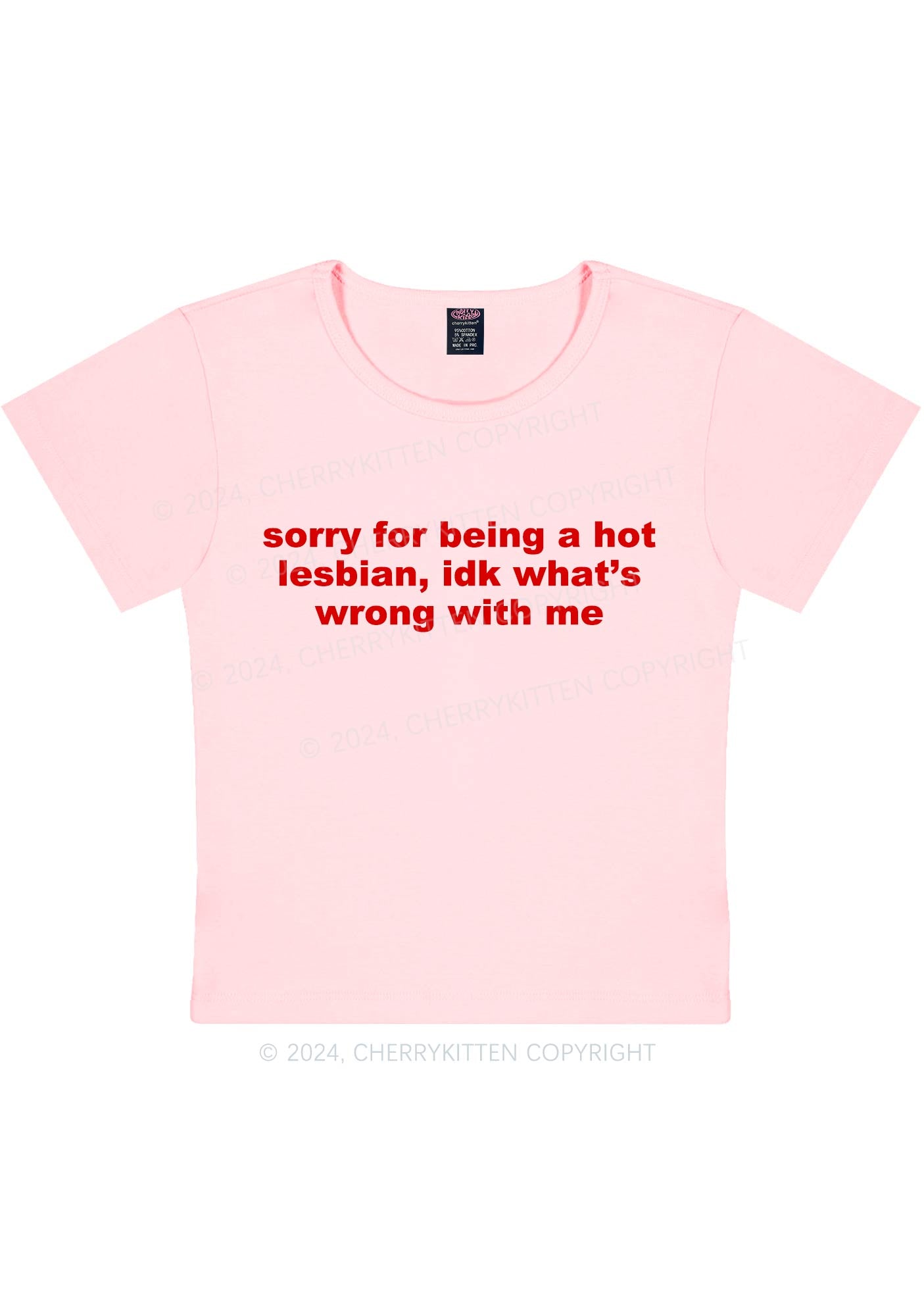 Sorry For Being Hot Lesbian Y2K Baby Tee Cherrykitten