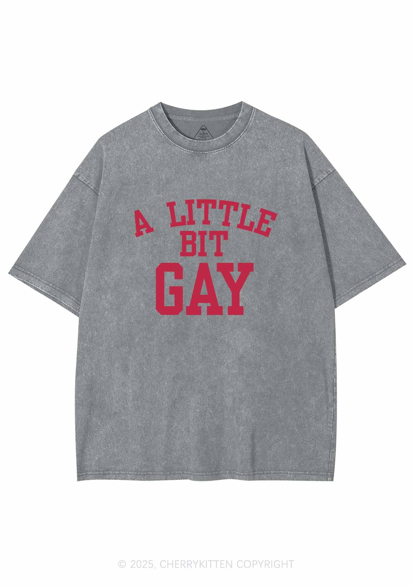 A Little Bit Gay Y2K Washed Tee Cherrykitten