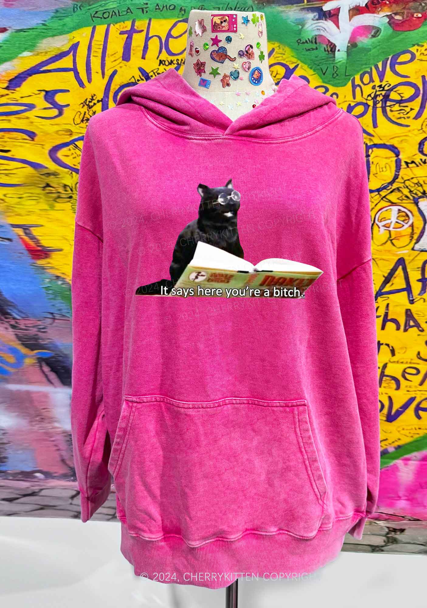 It Says Here You're A Bixxh Y2K Washed Hoodie Cherrykitten