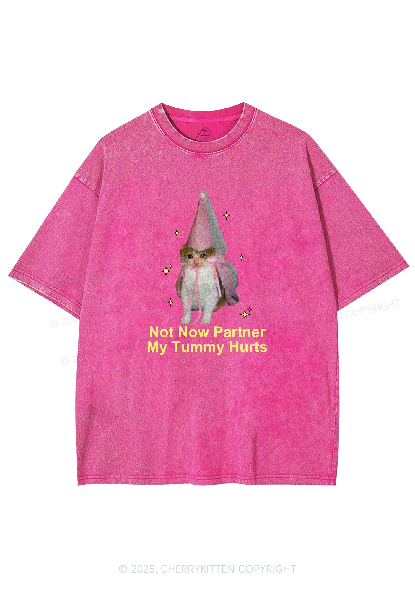 Tummy Hurts Cat Y2K Washed Tee Cherrykitten