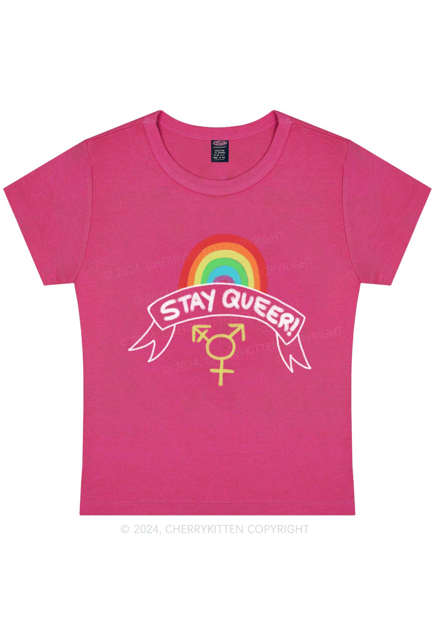 Stay Queer Y2K Baby Tee Cherrykitten