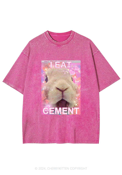 Bunny Eat Cement Y2K Washed Tee Cherrykitten