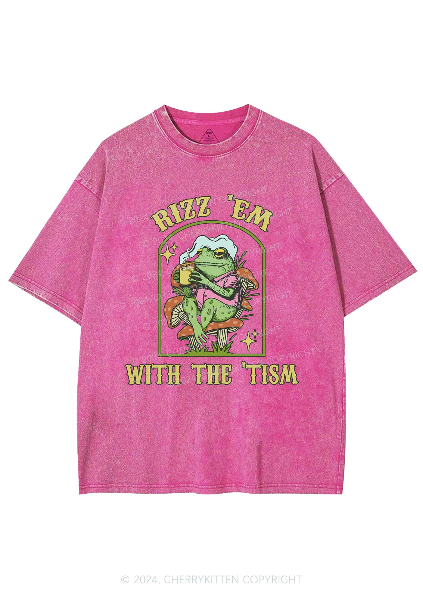 Tism Rizz Frog Y2K Washed Tee Cherrykitten