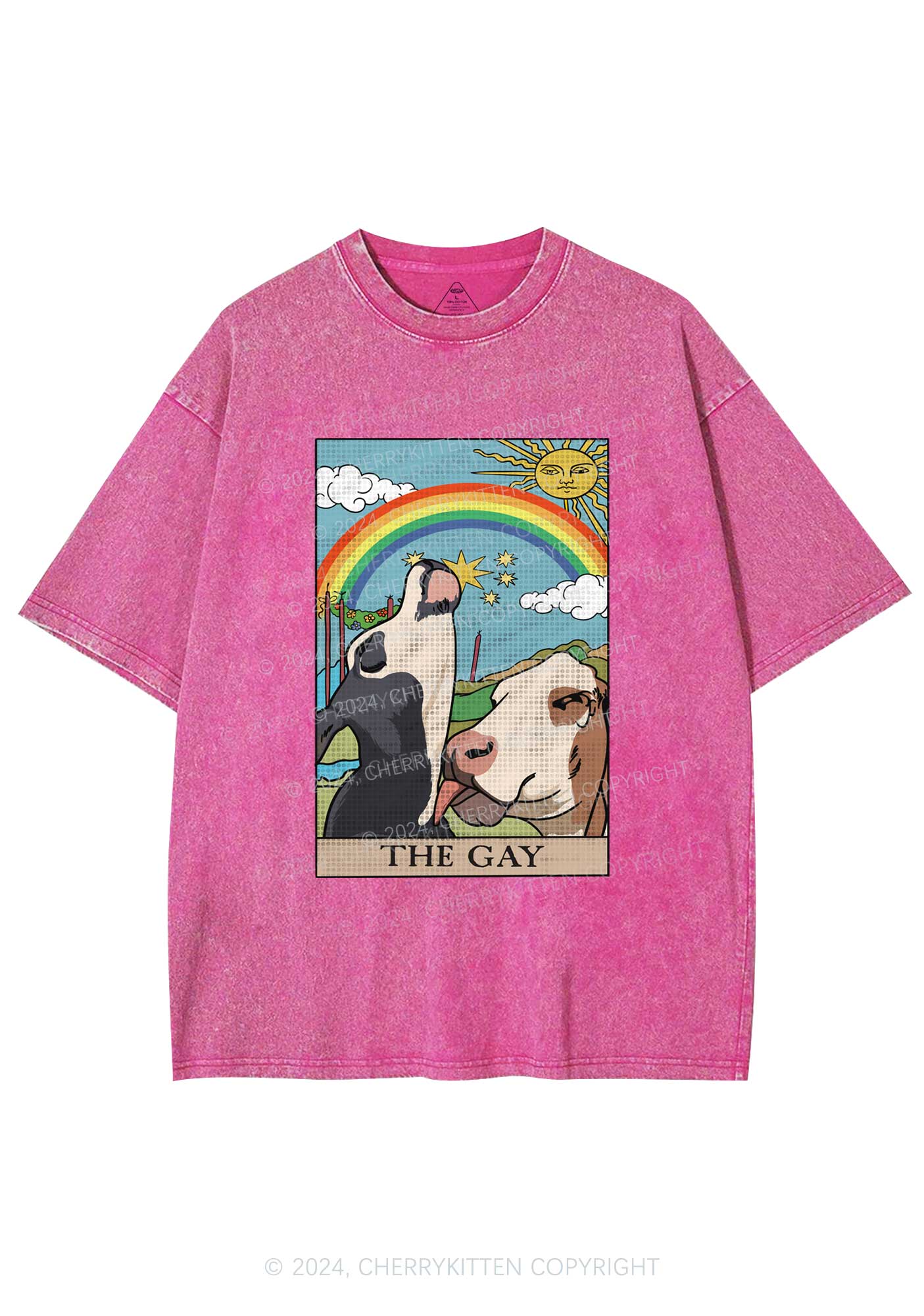 The Gay Y2K Washed Tee Cherrykitten