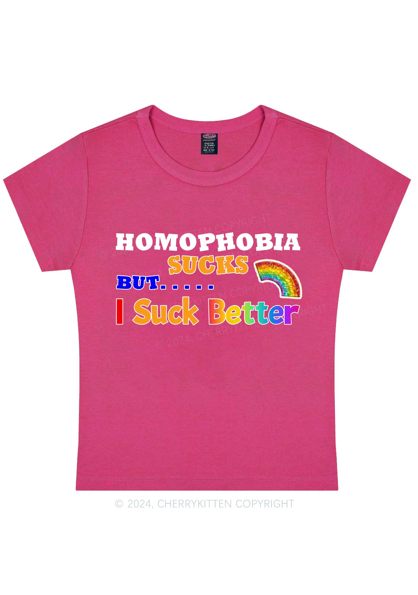 Curvy Homophobia Sucks Y2K Baby Tee Cherrykitten