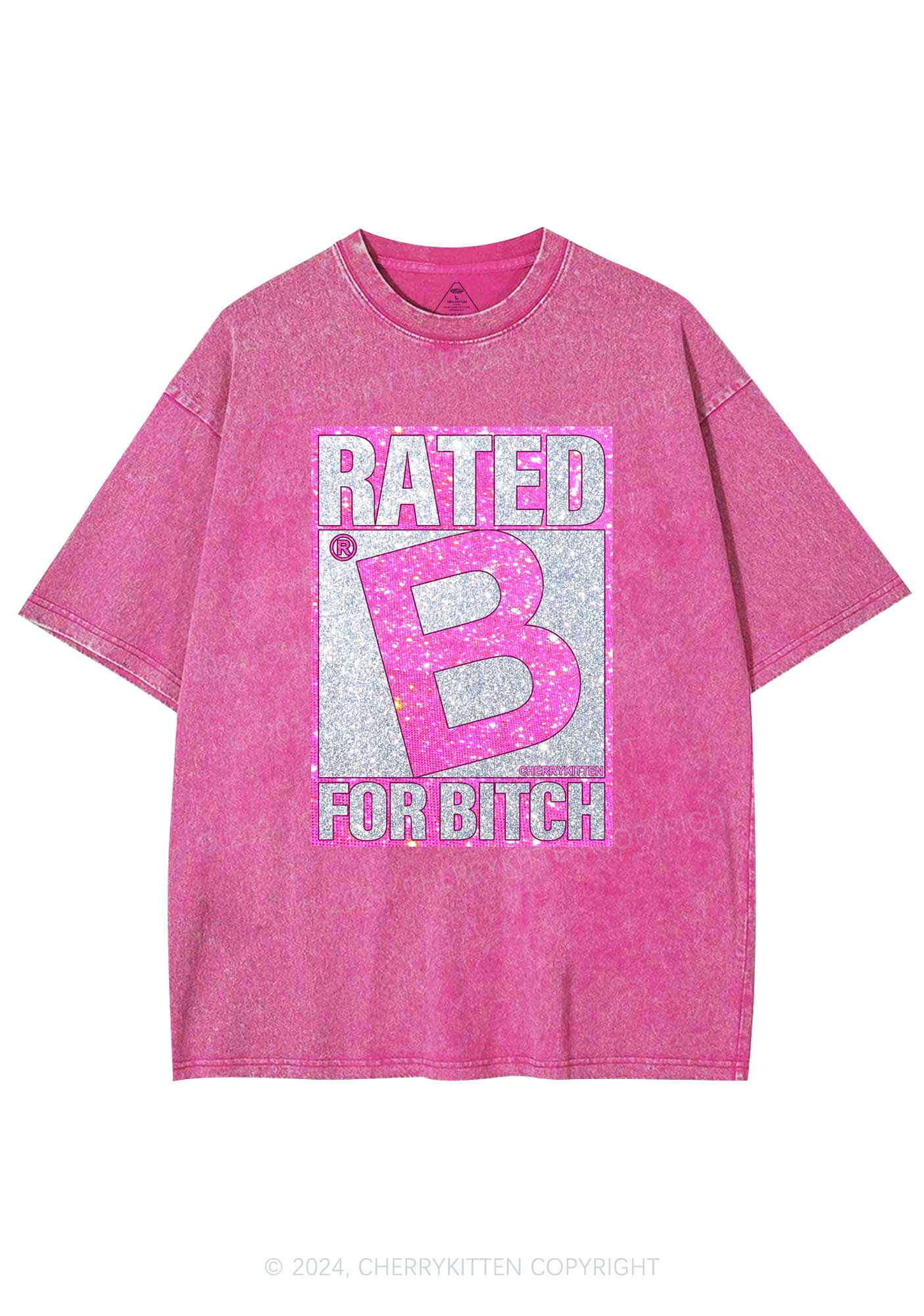 Rated For Bxxch Y2K Washed Tee Cherrykitten