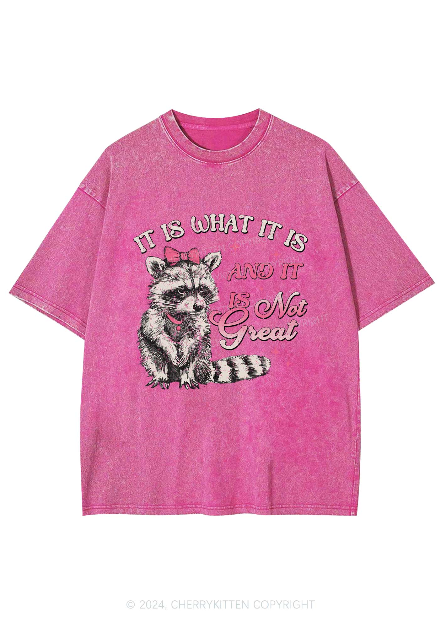 Not Great Raccoon Y2K Washed Tee Cherrykitten