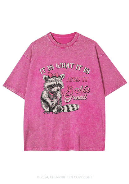 Not Great Raccoon Y2K Washed Tee Cherrykitten