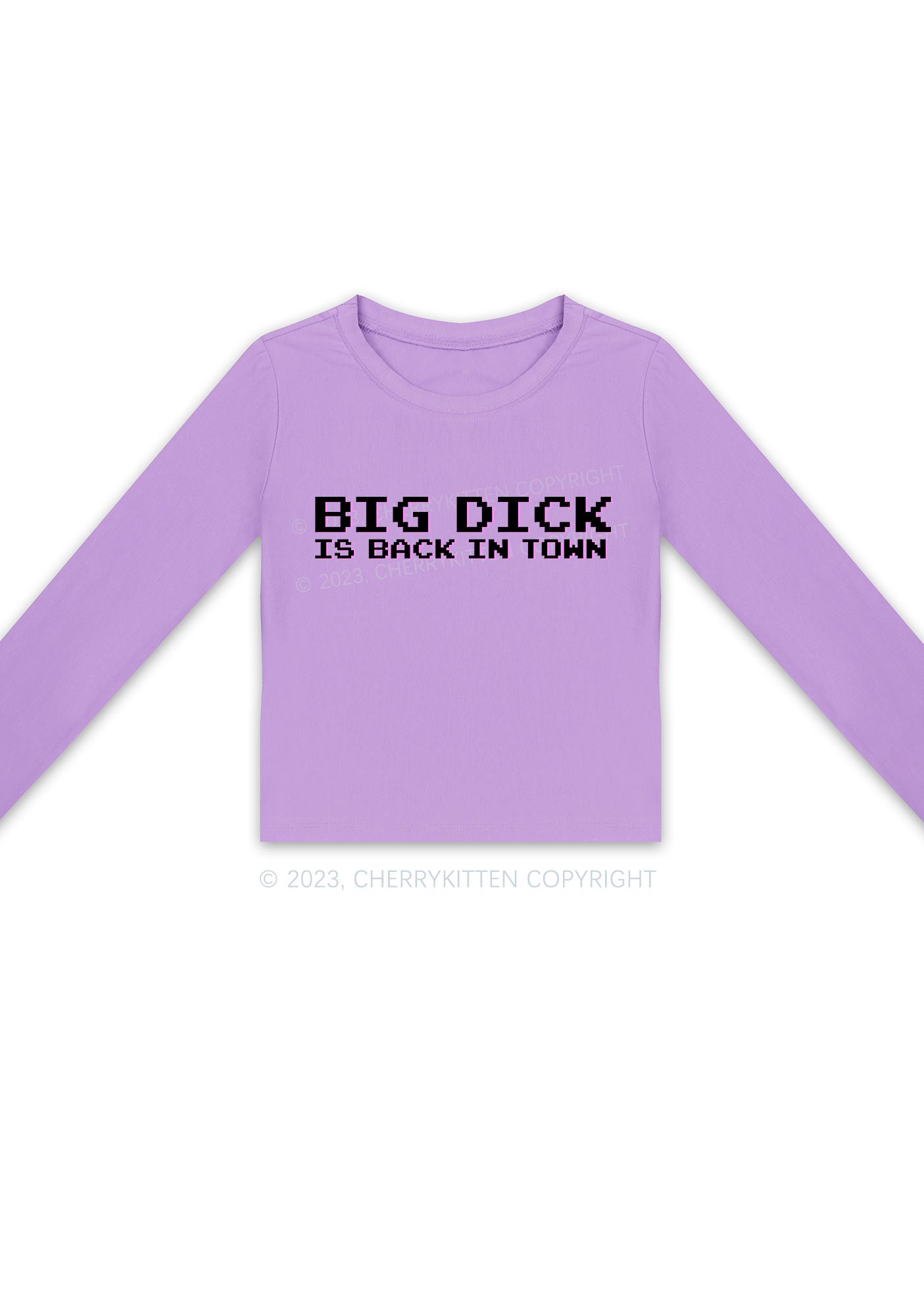 Big Is Back In Town Long Sleeve Crop Top Cherrykitten