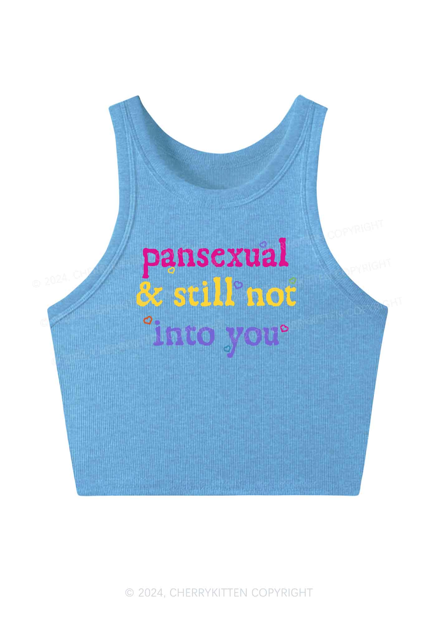 Pansexual Not Into You Y2K Crop Tank Top Cherrykitten