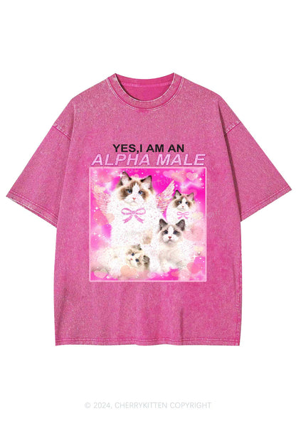 Alpha Male Y2K Washed Tee Cherrykitten