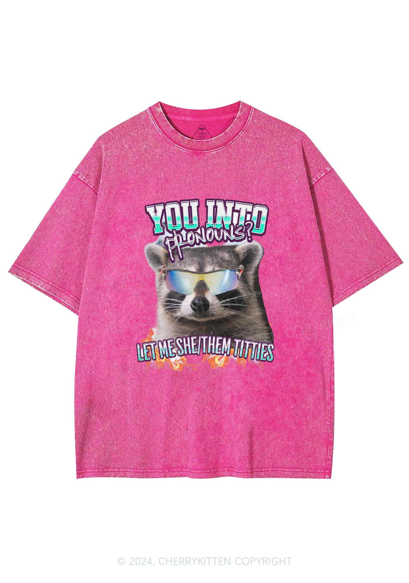 You Into Pronouns Y2K Washed Tee Cherrykitten