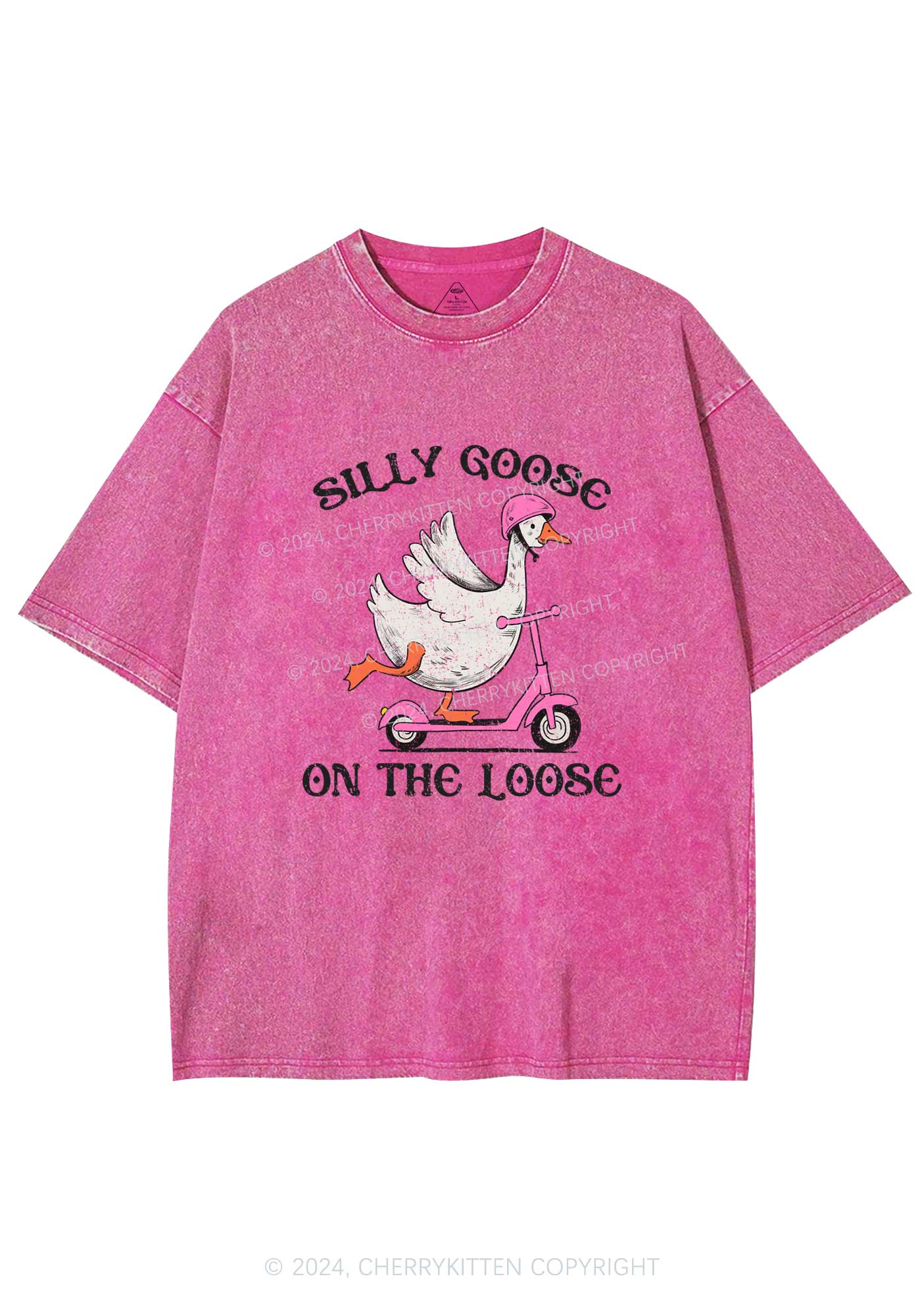 Silly Goose On the Loose Y2K Washed Tee Cherrykitten