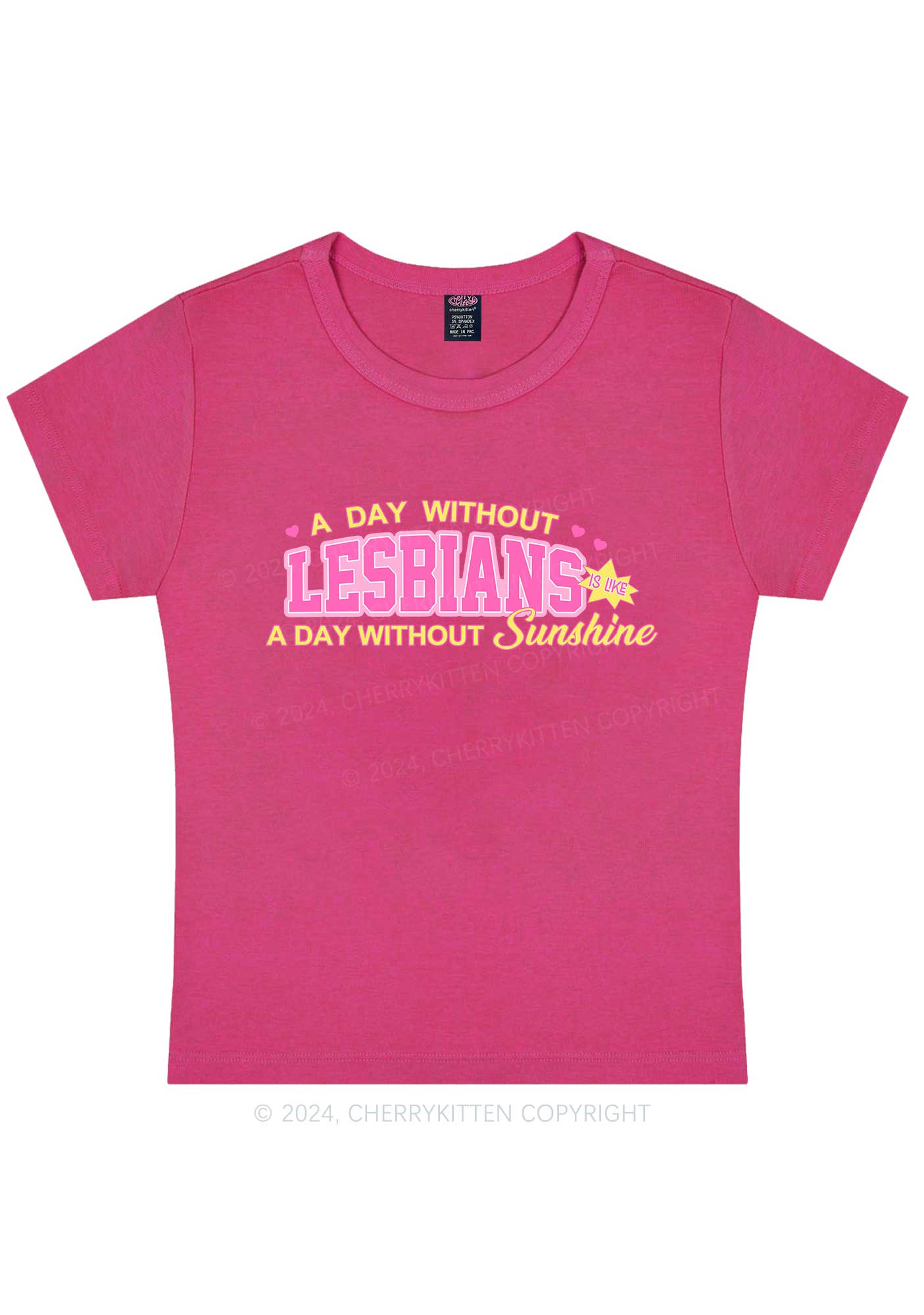 A Day Without Lesbians Y2K Baby Tee Cherrykitten