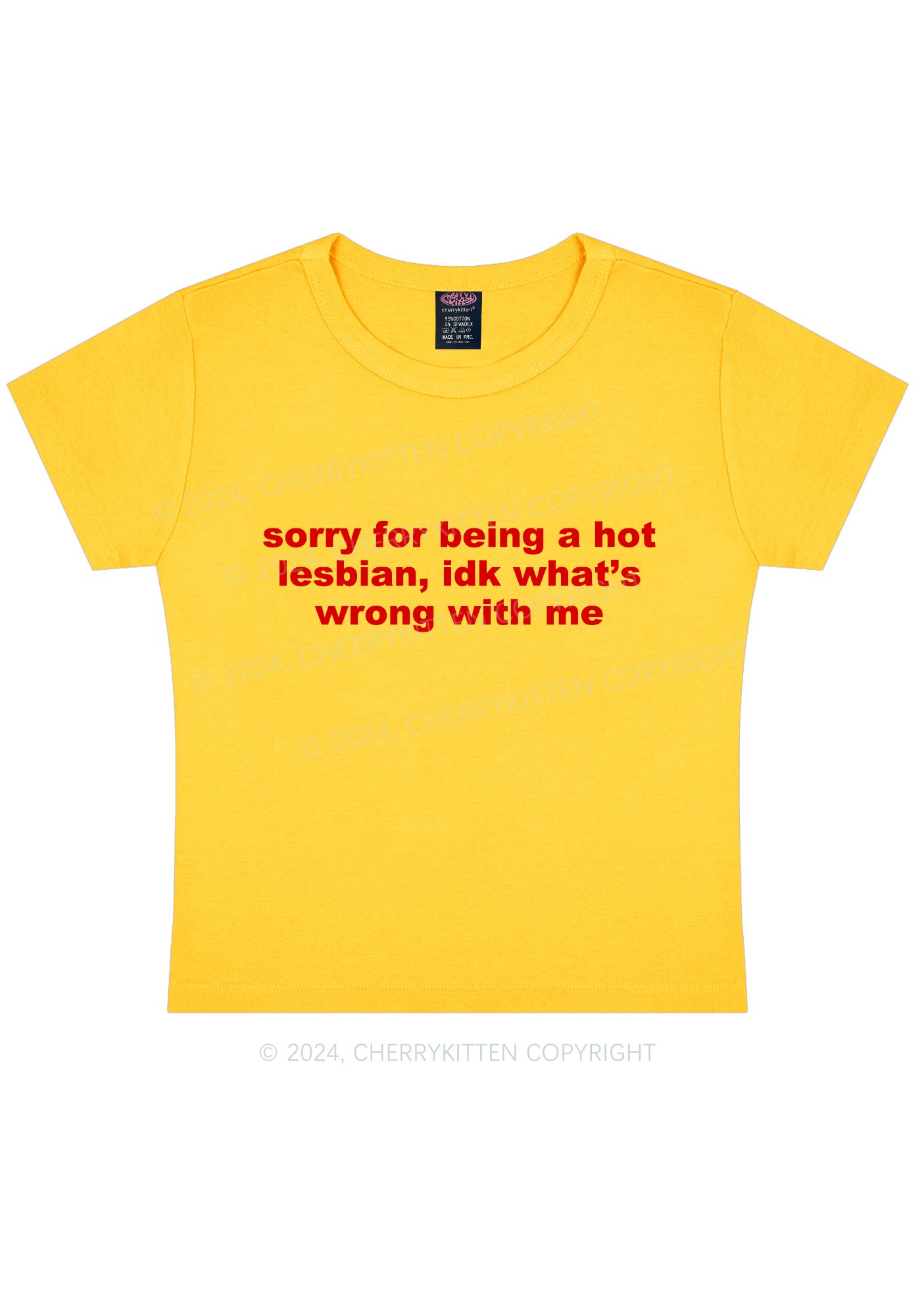 Sorry For Being Hot Lesbian Y2K Baby Tee Cherrykitten