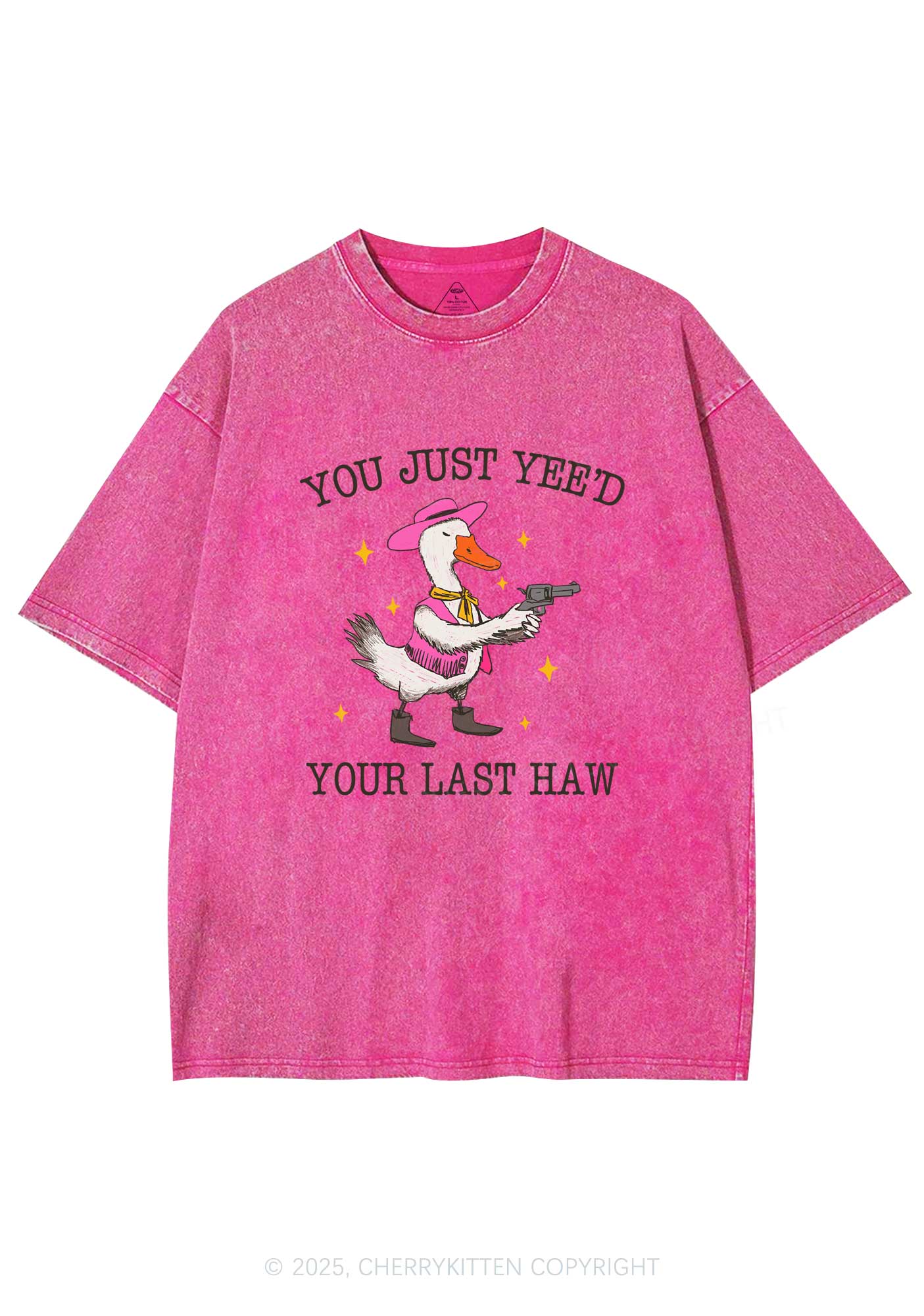 You Just Yeed Goose Y2K Washed Tee Cherrykitten