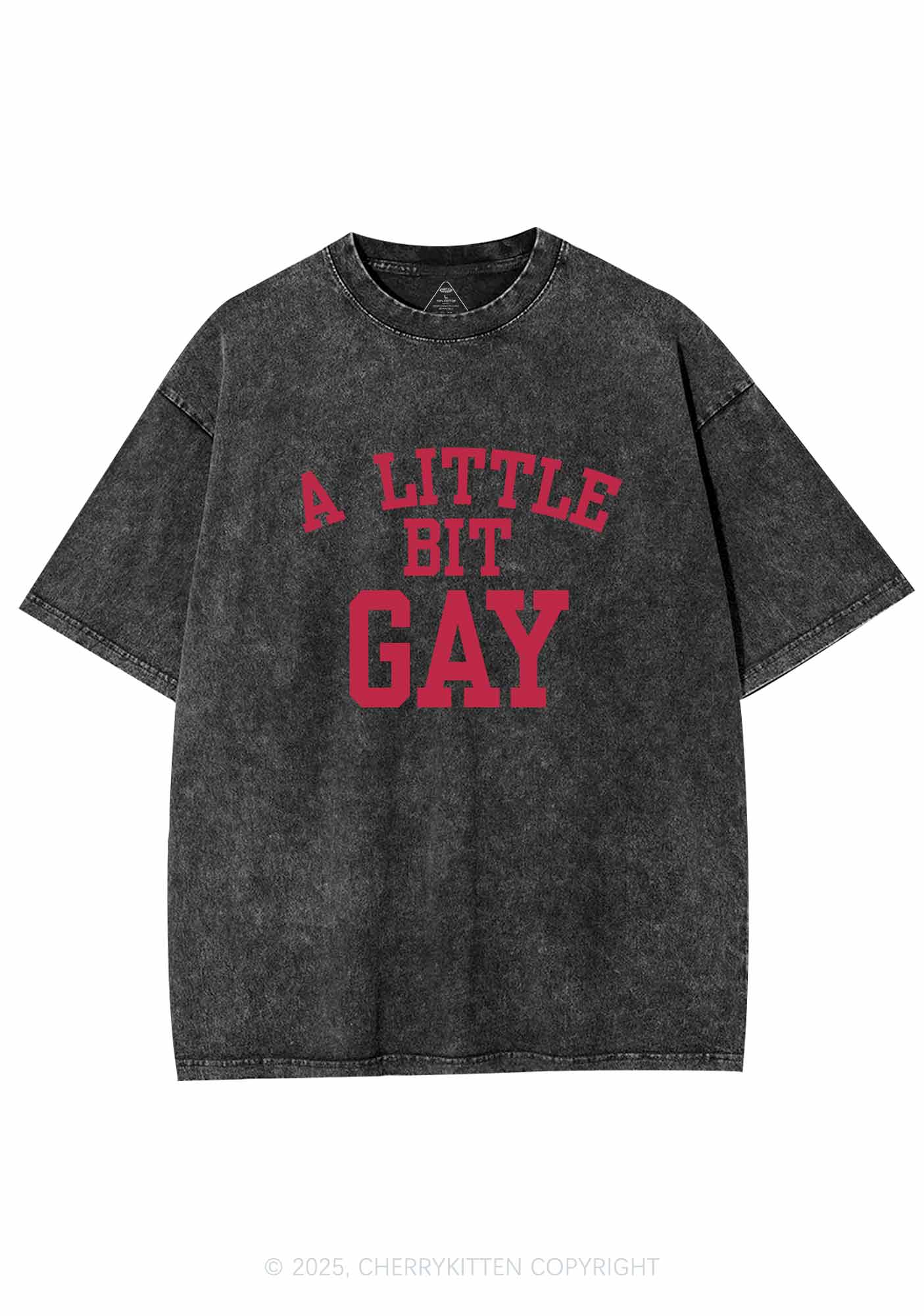 A Little Bit Gay Y2K Washed Tee Cherrykitten