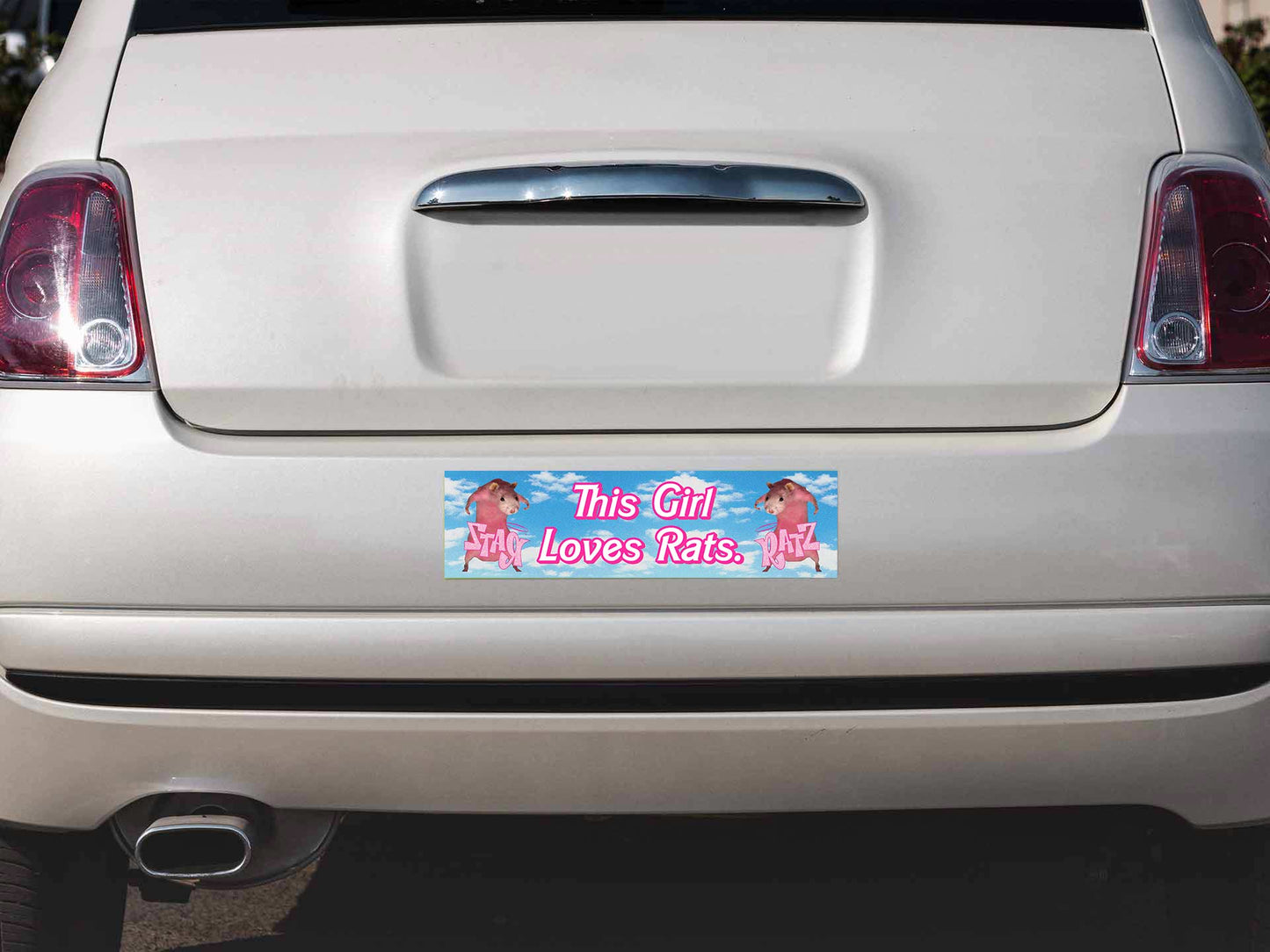 This Girl Loves Rats Y2K Car Bumper Magnet Cherrykitten