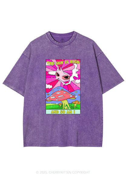 The Sun Is High Y2K Washed Tee Cherrykitten