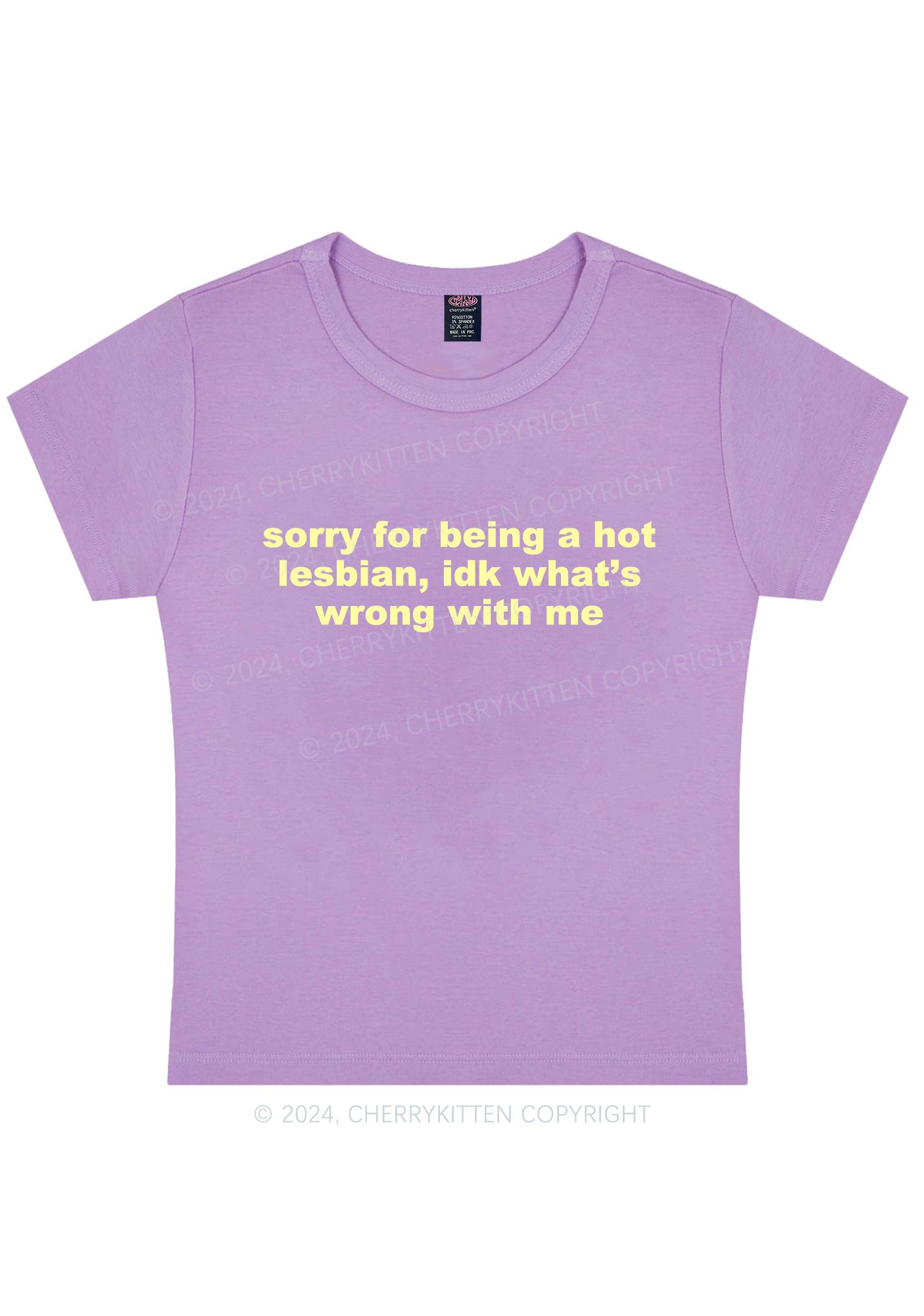 Sorry For Being Hot Lesbian Y2K Baby Tee Cherrykitten