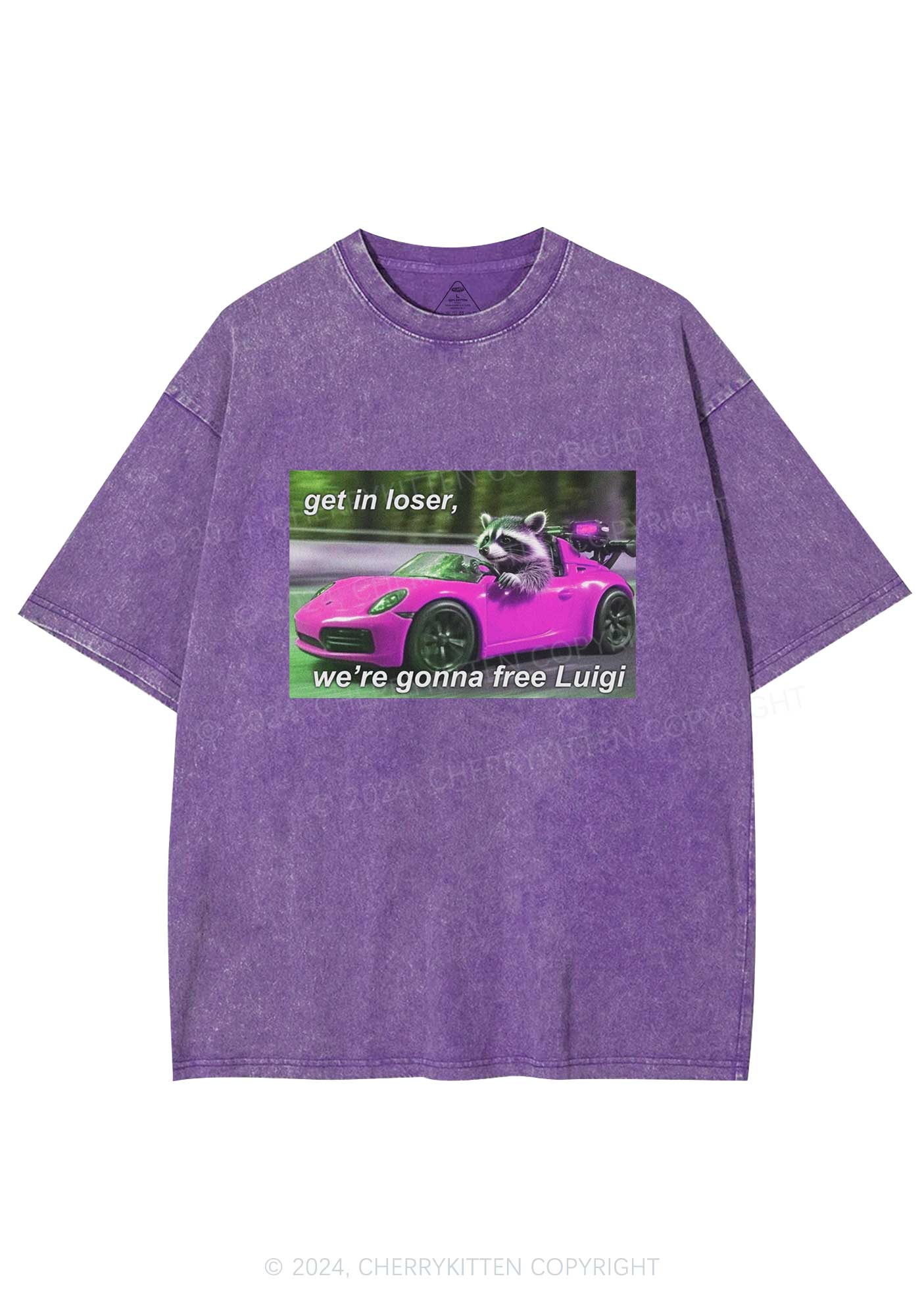 Get In Loser Free Him Y2K Washed Tee Cherrykitten