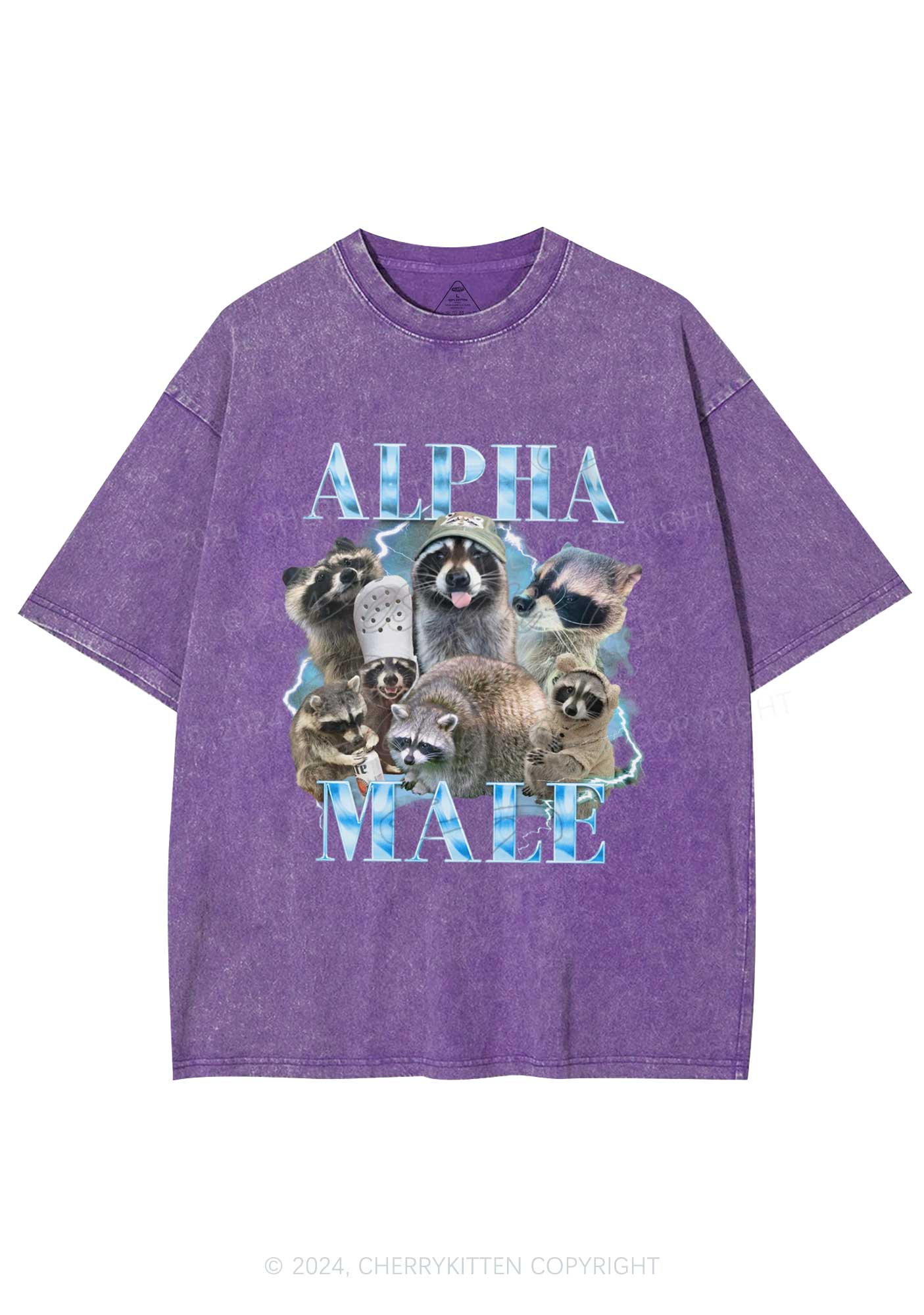 Blue Raccoons Alpha Male Y2K Washed Tee Cherrykitten