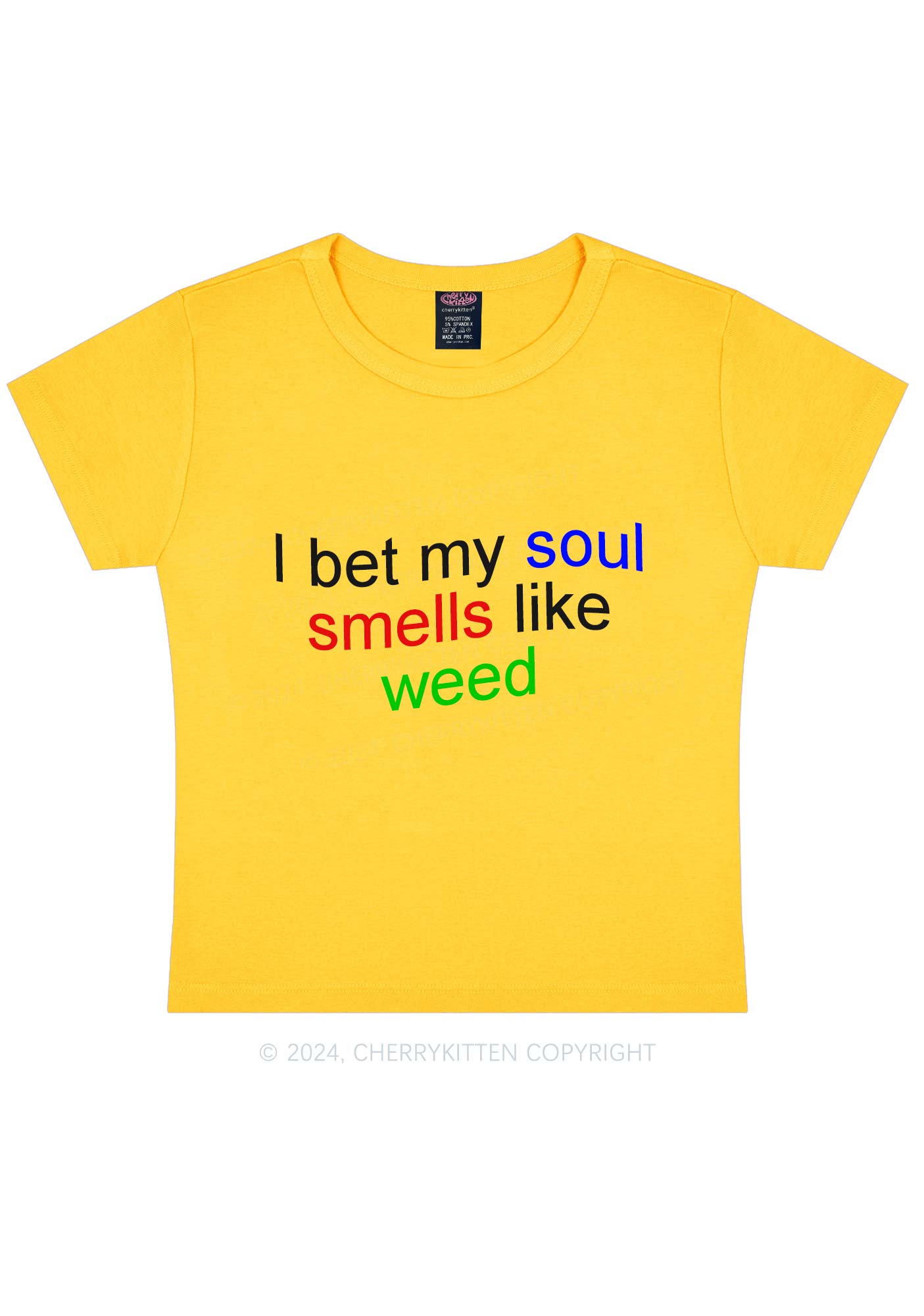 Soul Smells Like Wxxd Y2K Baby Tee Cherrykitten