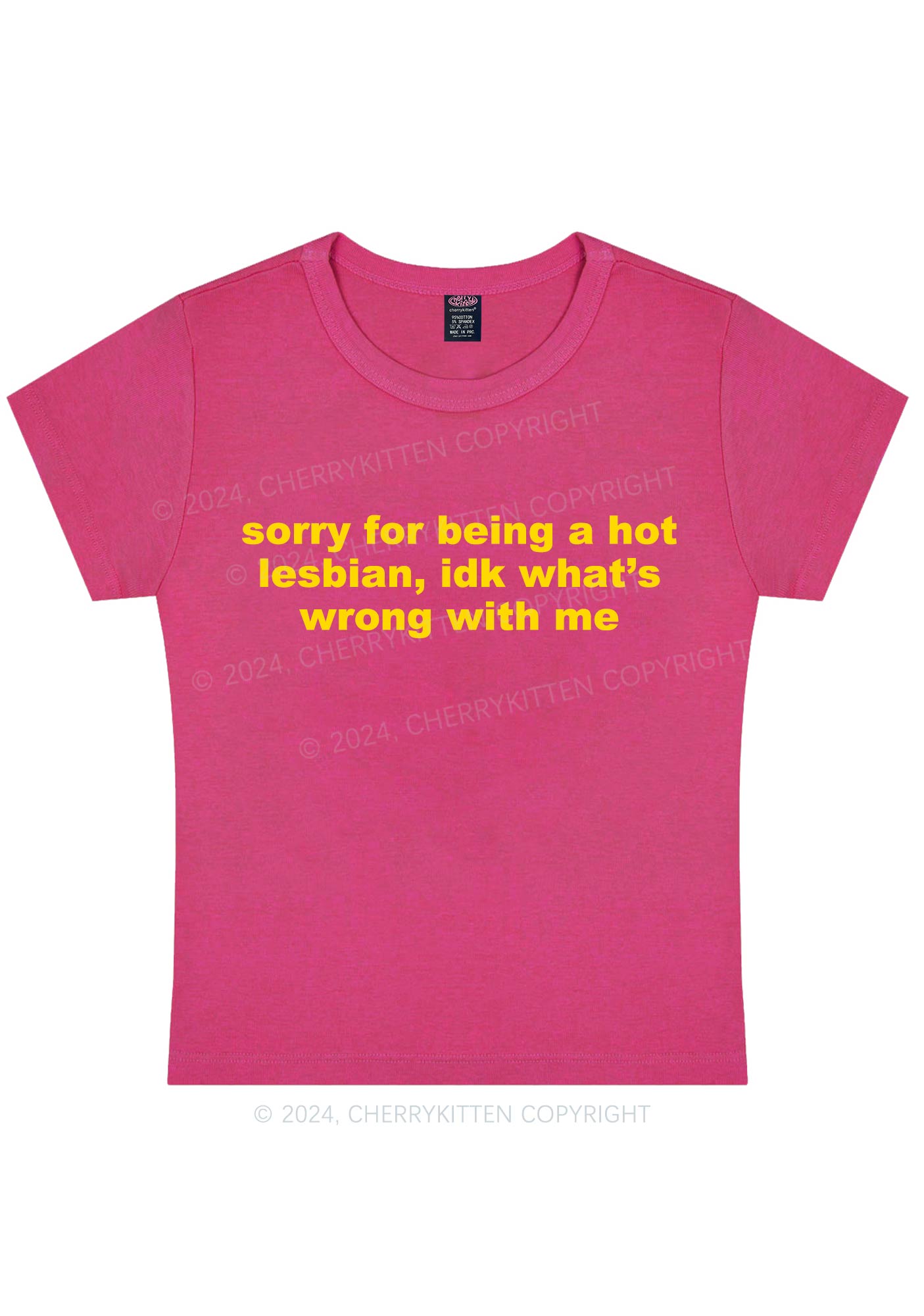 Curvy Sorry For Being Hot Lesbian Y2K Baby Tee Cherrykitten