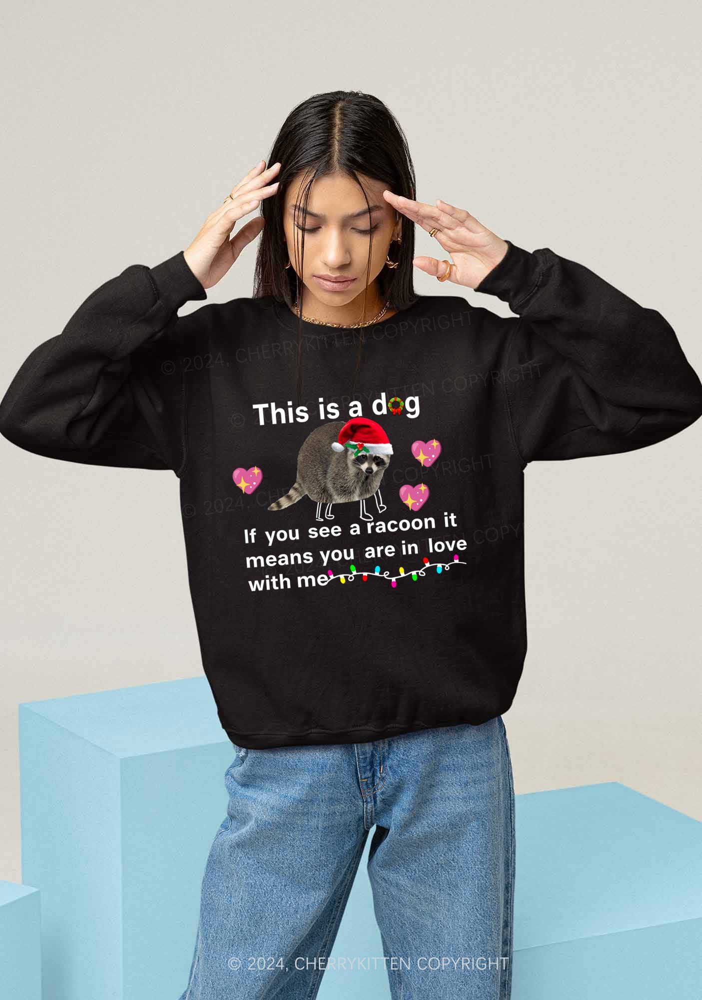 Christmas Dog Racoon Y2K Sweatshirt Cherrykitten