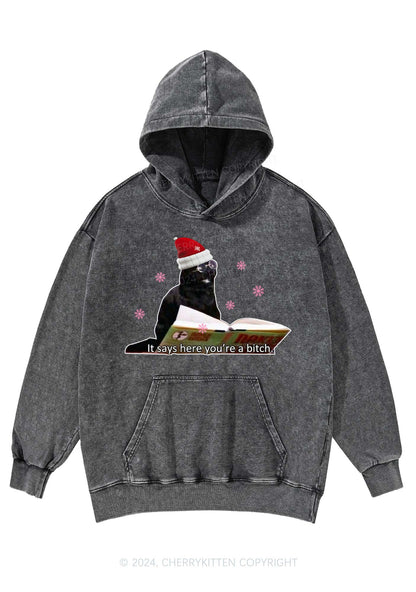 Christmas Cat Bxxch Y2K Washed Hoodie Cherrykitten