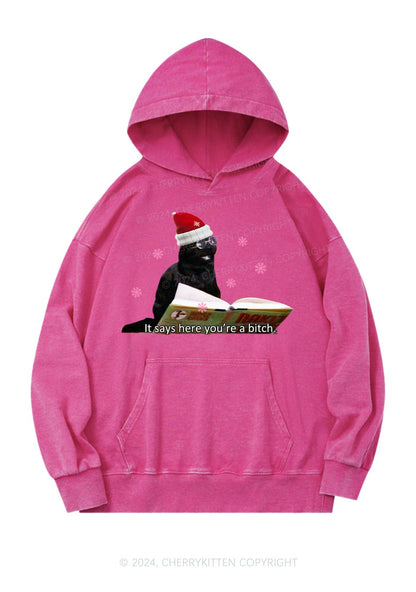 Christmas Cat Bxxch Y2K Washed Hoodie Cherrykitten