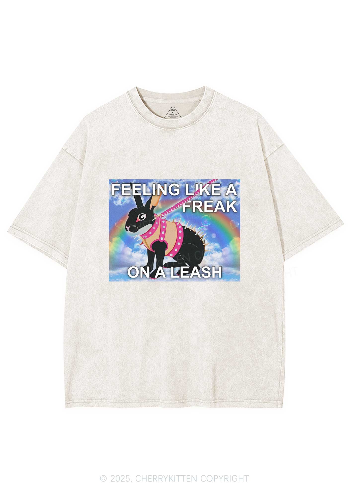 Freak On A Leash Y2K Washed Tee Cherrykitten