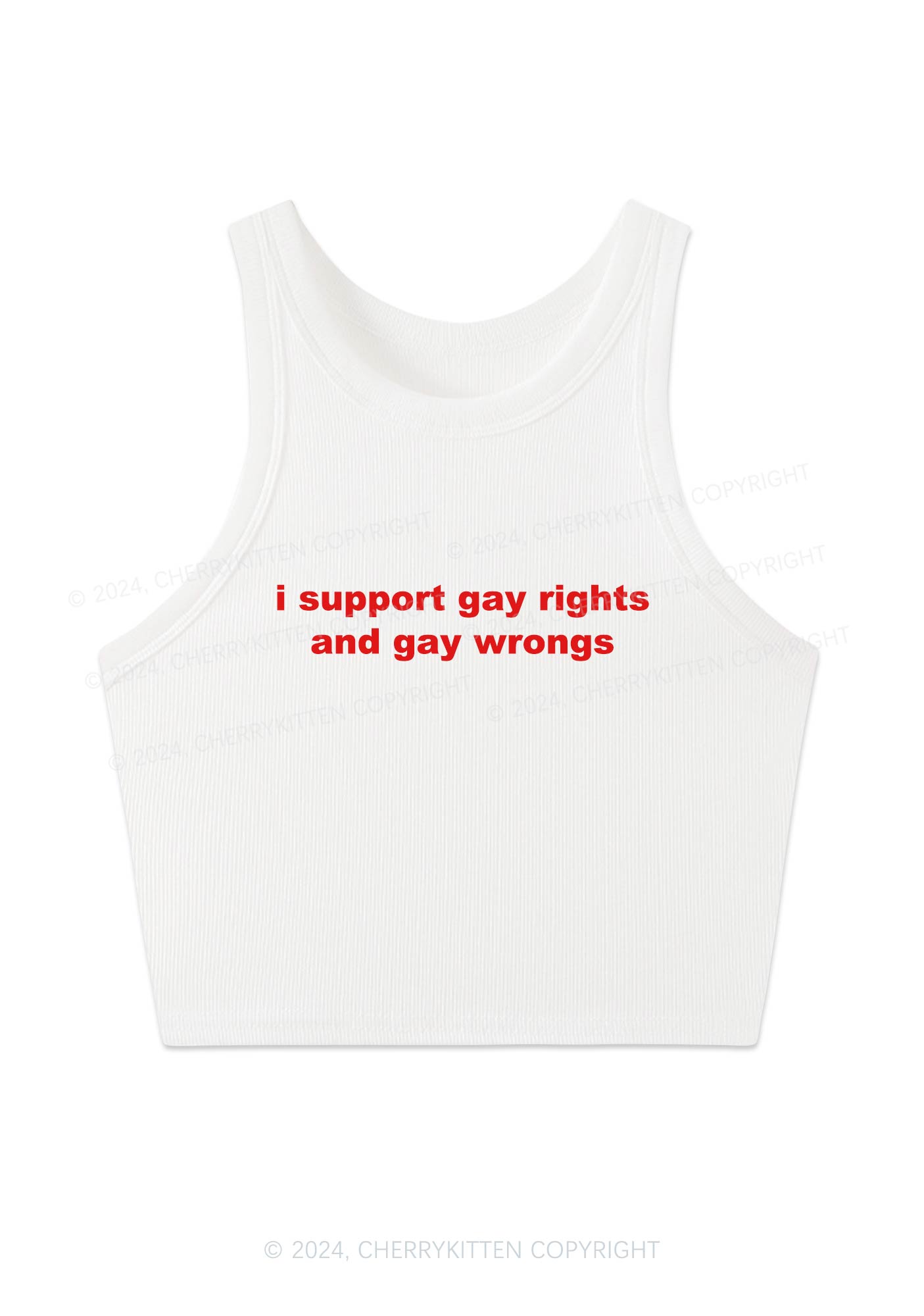 Support Gay Rights Y2K Crop Tank Top Cherrykitten