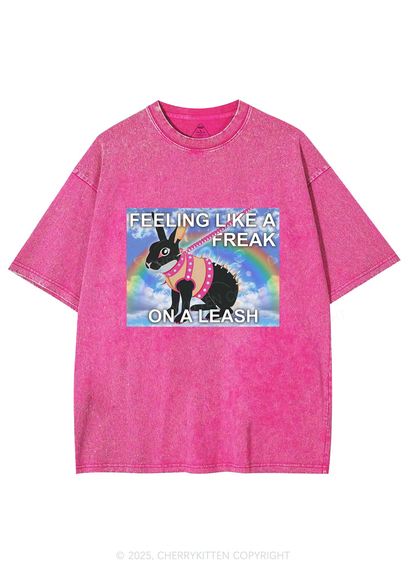 Freak On A Leash Y2K Washed Tee Cherrykitten