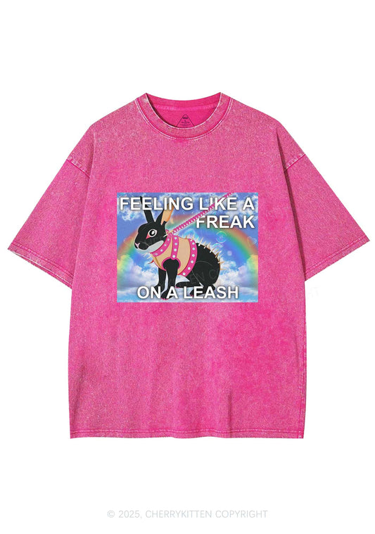 Freak On A Leash Y2K Washed Tee Cherrykitten