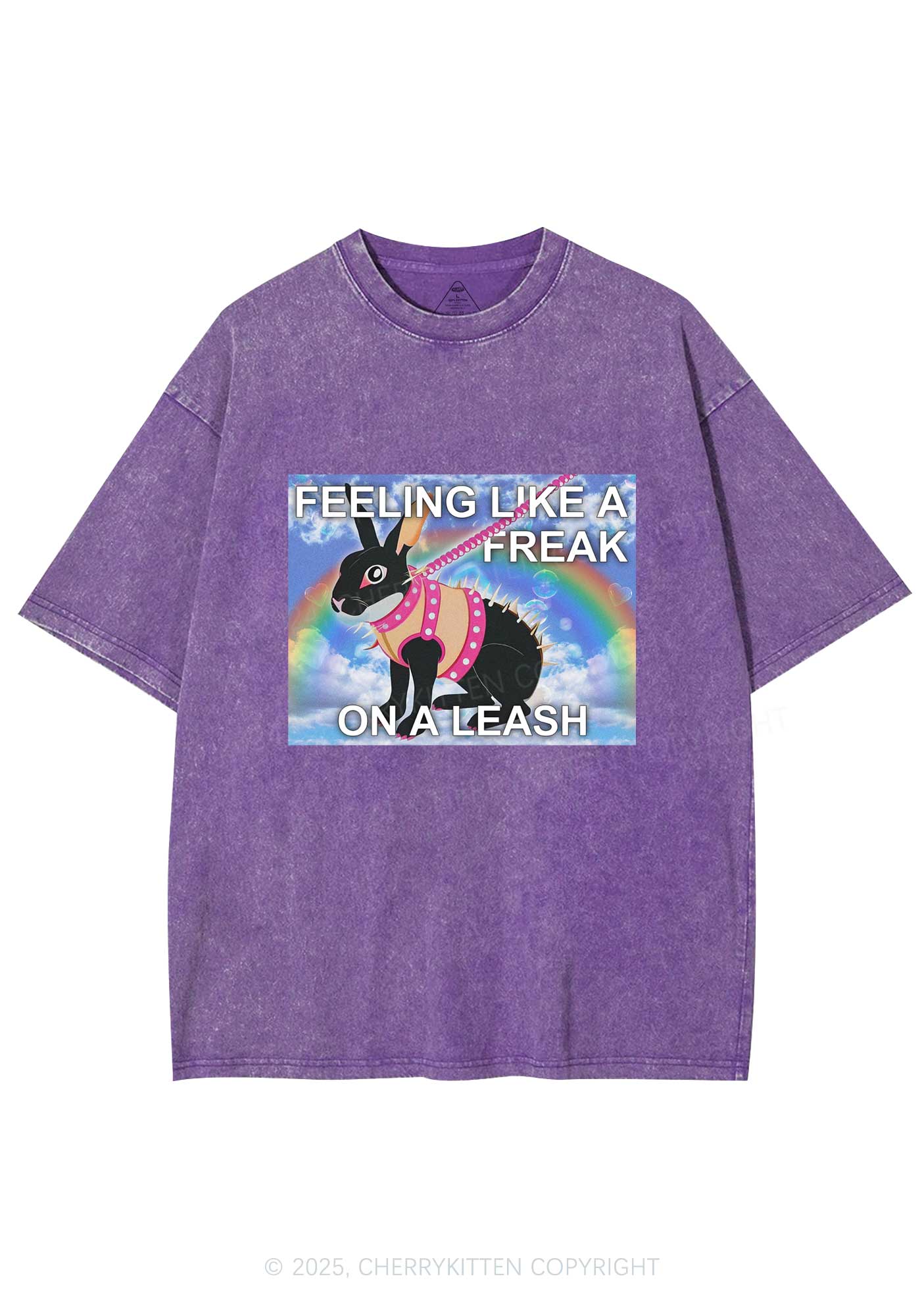 Freak On A Leash Y2K Washed Tee Cherrykitten